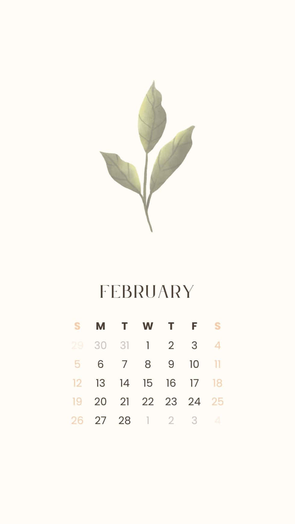 2019年2月月曆配樹葉圖案 壁紙