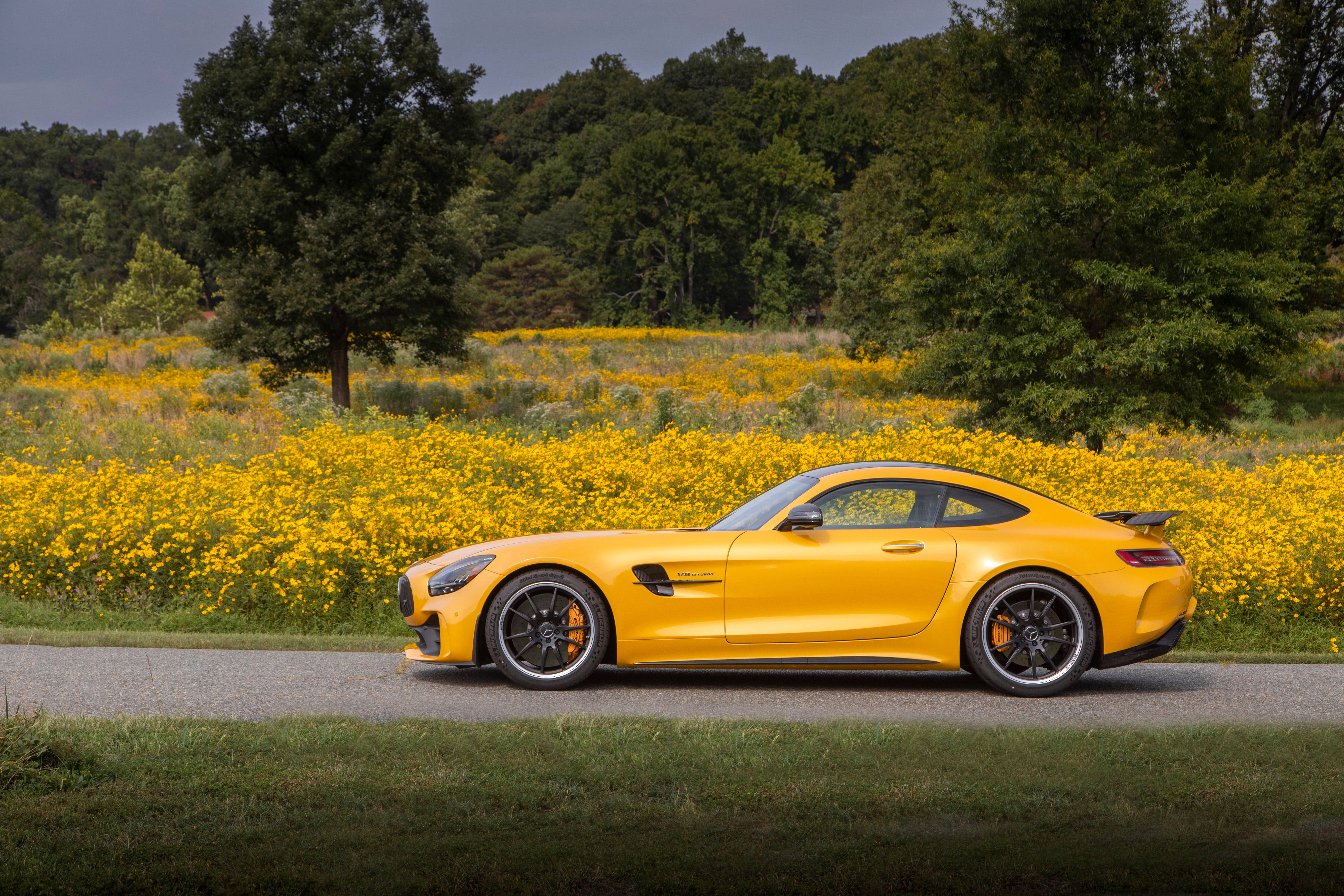 2020 年梅賽德斯-AMG GT R PRO 車輛 壁紙 — 一輛充滿活力的黃色跑車沿著一條被金色野花田環繞的道路行駛，天空多雲。