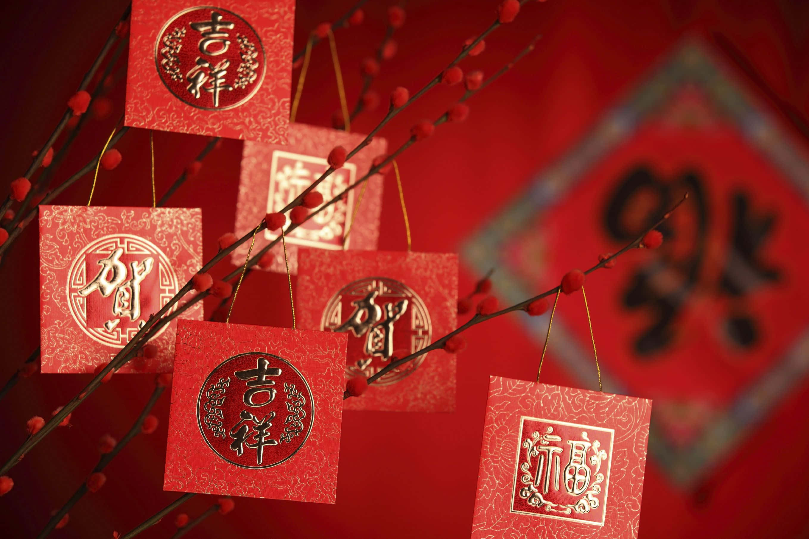2022年春節慶典的熱鬧景象 壁紙 — 紅色紙信封上印有金色中文字，掛在結滿漿果的樹枝上，以喜慶的紅色背景襯托。