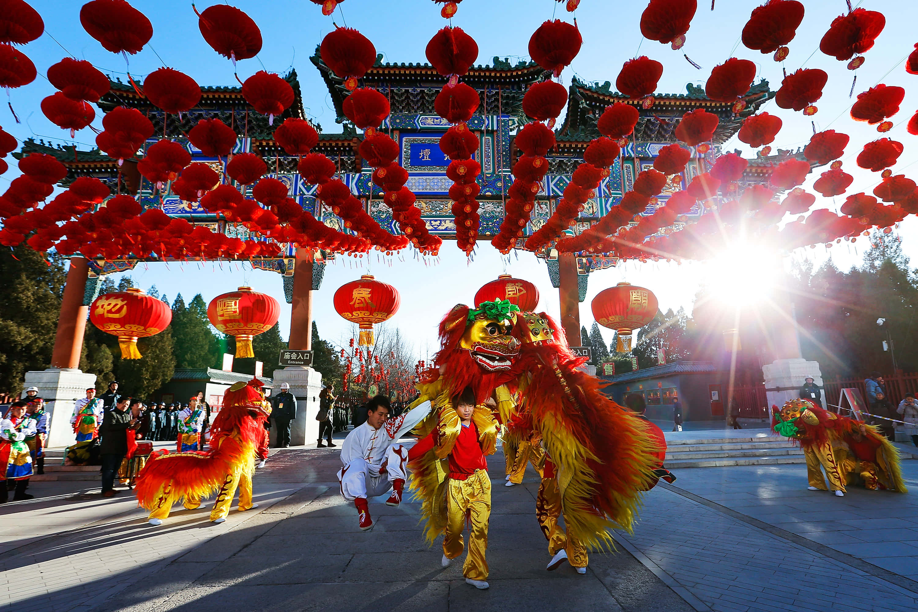 2022春節舞龍 壁紙 — 色彩繽紛的紅色舞獅表演者在發光燈籠的天篷下，於傳統中國節日入口處巡遊。