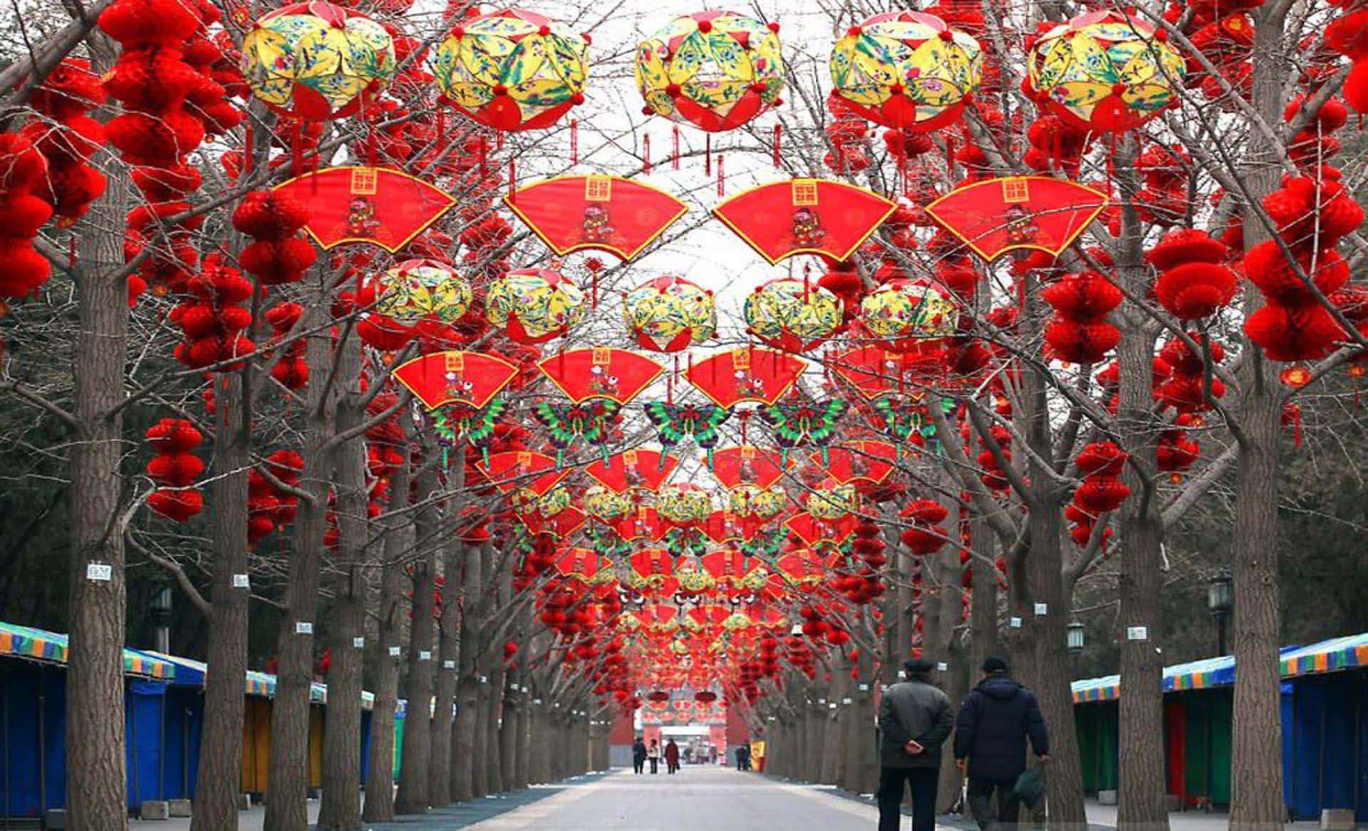 2022春節雪夜街景 壁紙 — 一條節日街道，兩旁光禿禿的樹木掛滿鮮豔的紅色和金色燈籠，形成一條慶祝隧道。