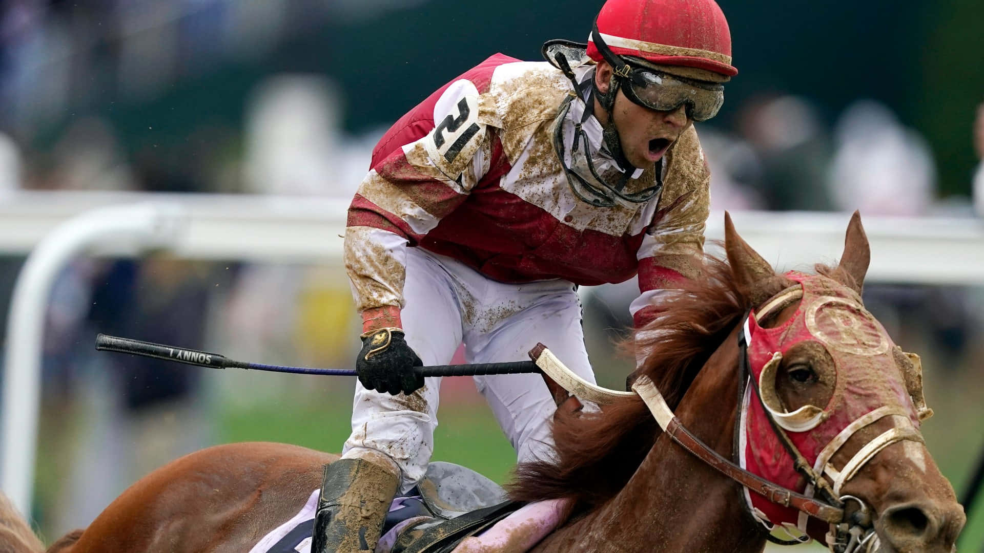 2022肯塔基德比賽馬匹競逐勝利 壁紙 — 一位身穿紅白絲綢的騎師向前傾身大喊，騎著一匹棕色賽馬穿過泥濘的賽道。