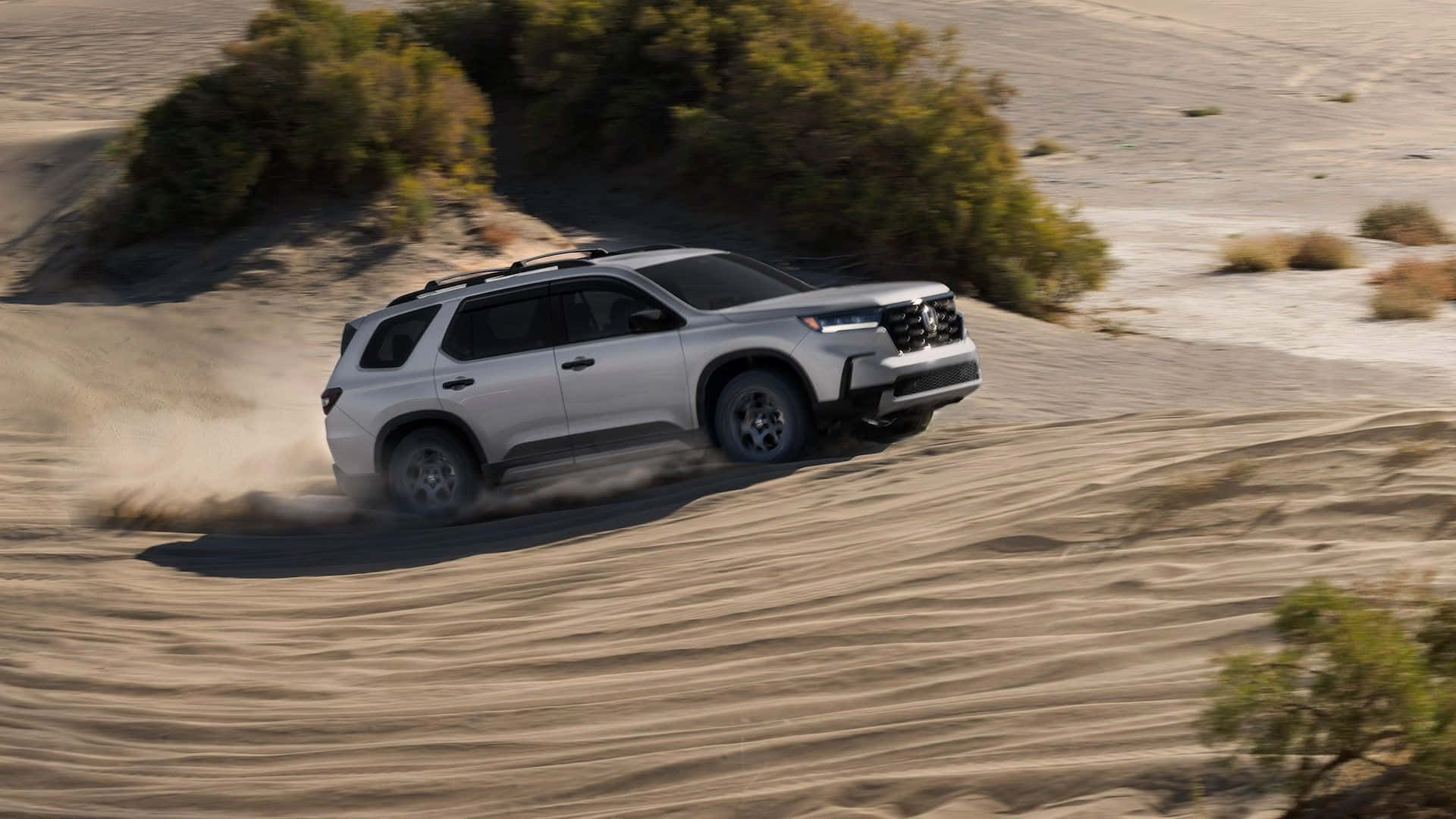 駕馭全新2023 Honda Pilot，享受時尚風采 壁紙 — 一輛銀色SUV在沙漠沙丘上強勁行駛，在明亮的日光下揚起沙塵。