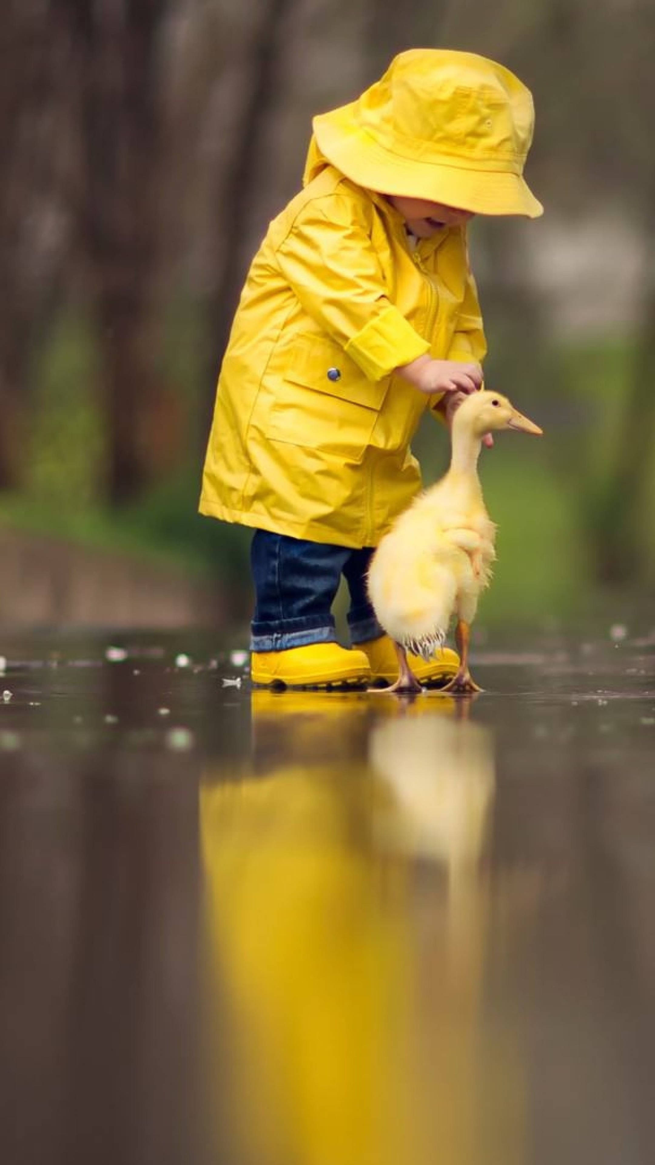 小男孩與鴨子玩耍 2160x3840 壁紙 — 一個穿著鮮黃色雨衣的孩子輕輕撫摸著一隻站在雨水浸濕的水坑中的毛茸茸的黃色小鴨。