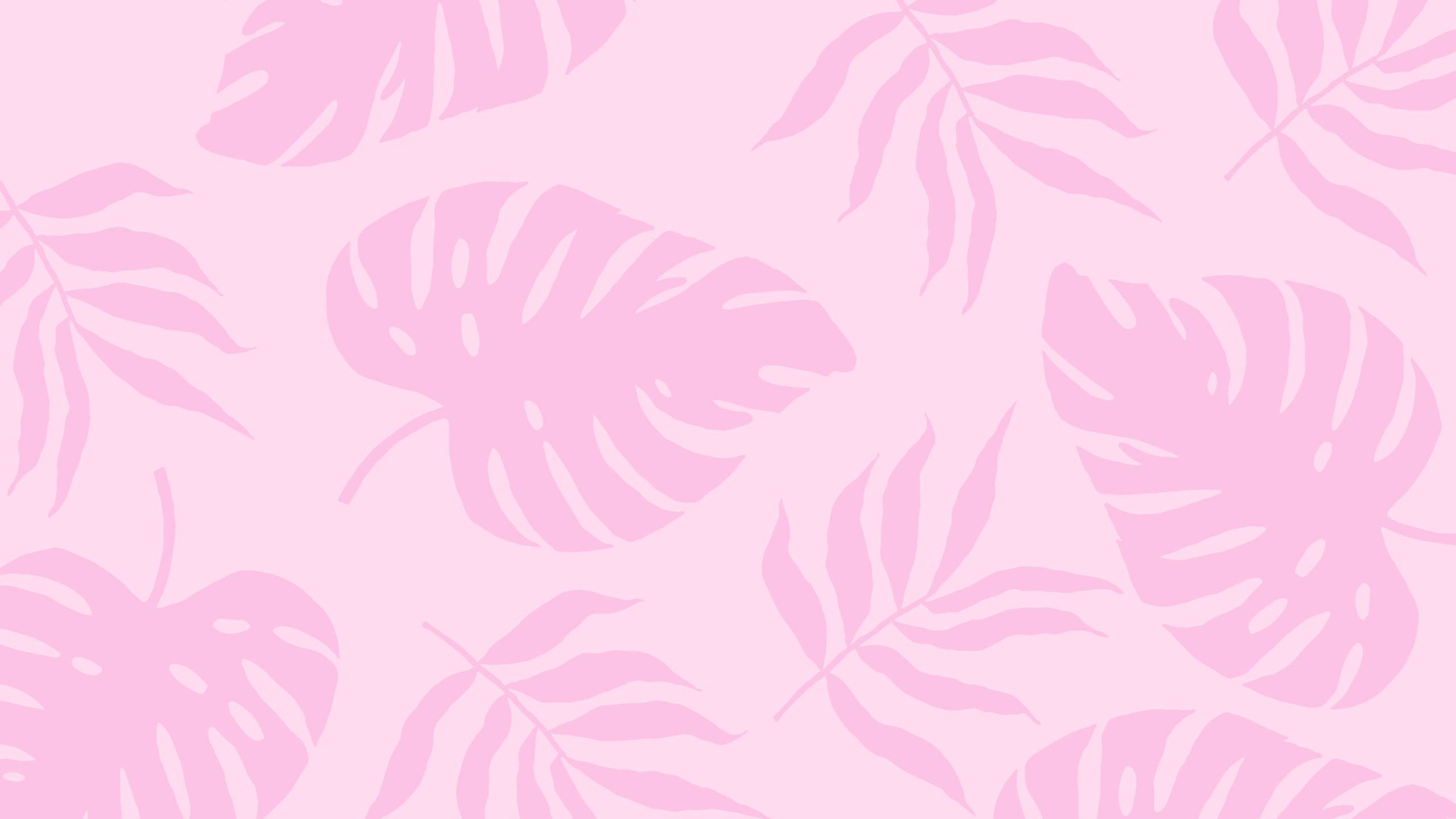 2560x1440 夏日植物粉紅美學 壁紙 — 柔和的粉紅色龜背竹和棕櫚葉剪影在粉彩粉紅色背景上以重複圖案輕輕漂浮。