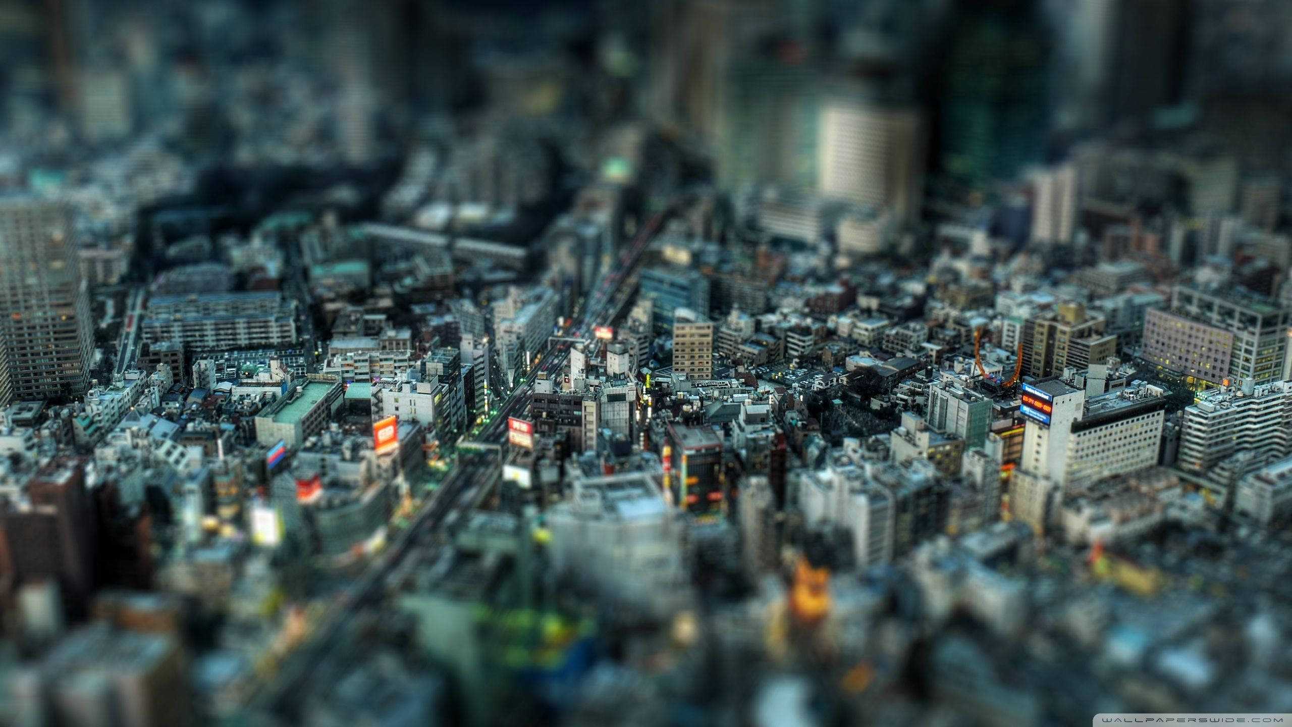 2560x1440迷你城市景觀 壁紙 — 一個微型城市景觀，邊緣模糊，中央焦點清晰，展現發光的霓虹燈招牌和密集的城市建築。