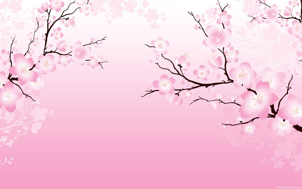 2D櫻花壁紙