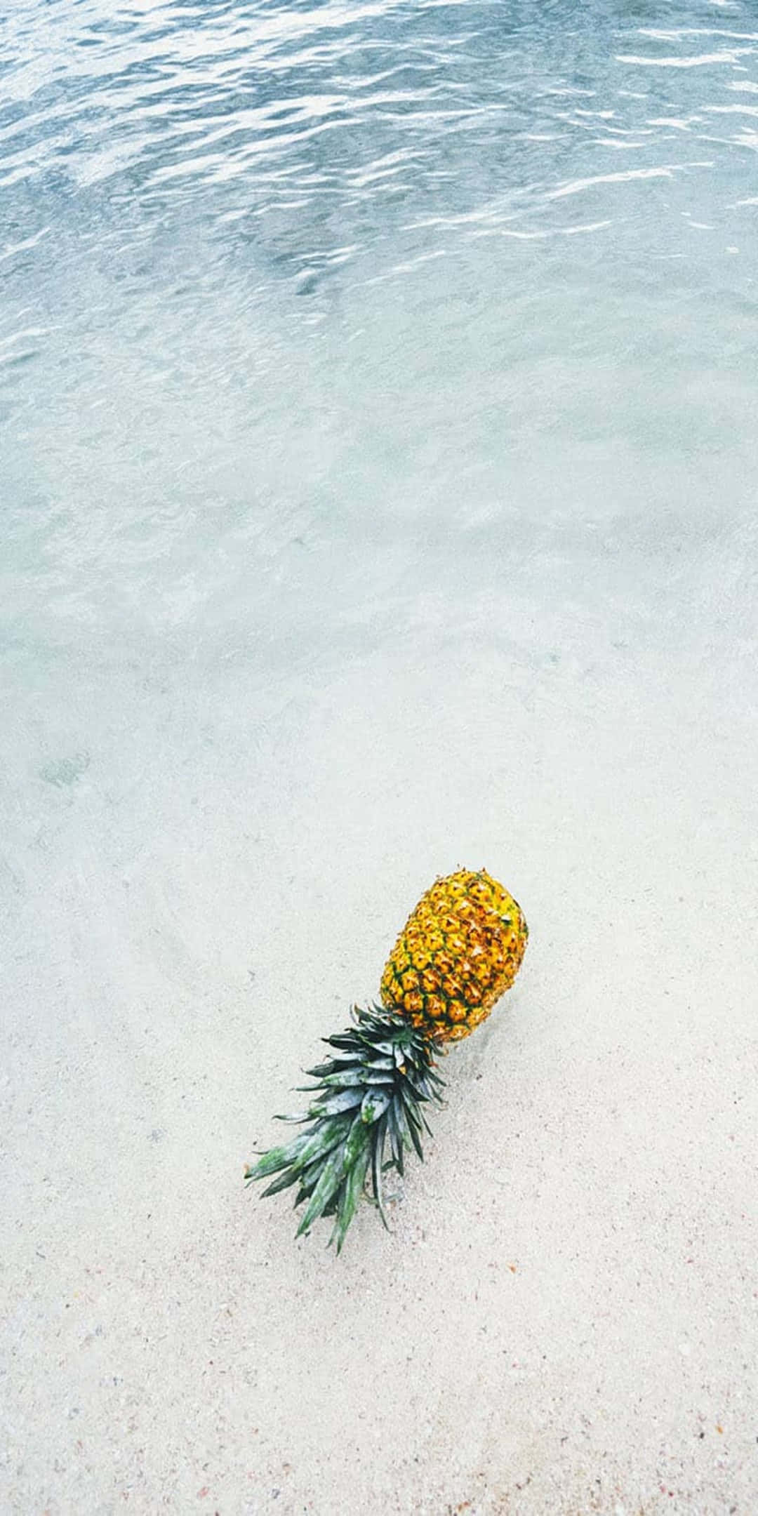 像素3夏日背景：白色沙灘上的菠蘿 壁紙 — 一個成熟的菠蘿放在白色沙灘上，旁邊是清澈的碧綠海水。
