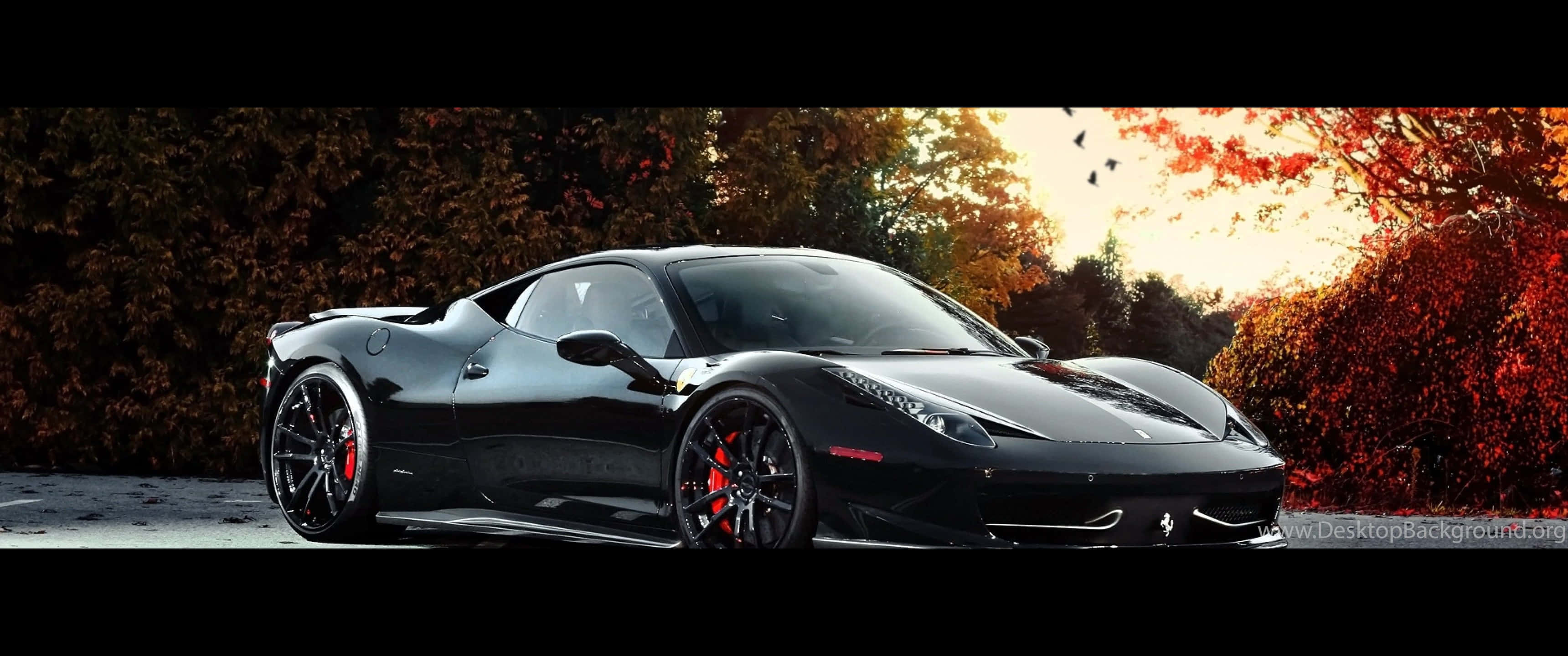 3440x1440p 法拉利秋季背景 壁紙 — 一輛時尚的黑色法拉利跑車在金色夕陽下閃閃發光，周圍是火紅的秋樹。