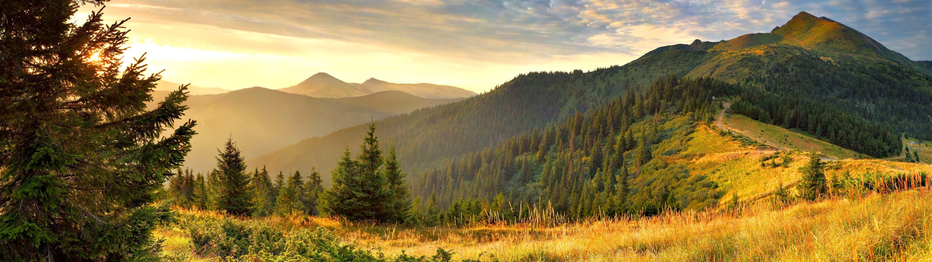 3840X1080 自然風景圖像 壁紙 — 陽光沐浴著起伏的綠色山脈和金色草地，溫暖的日出光芒。