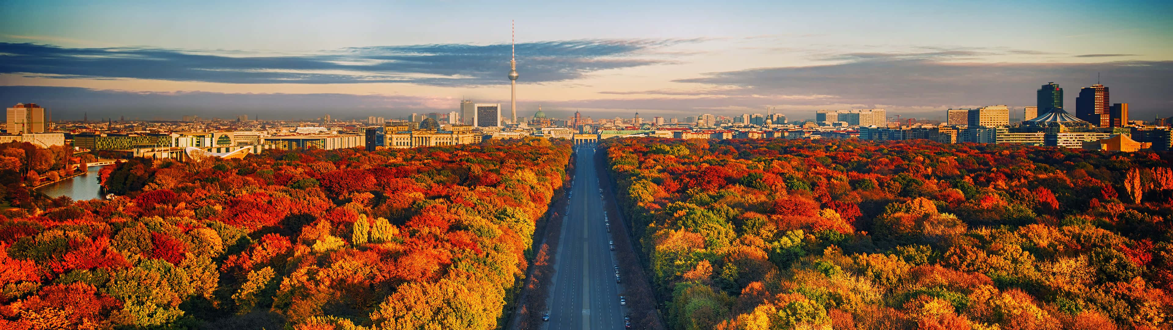 一條穿過秋樹的道路通往日落時分的城市天際線。