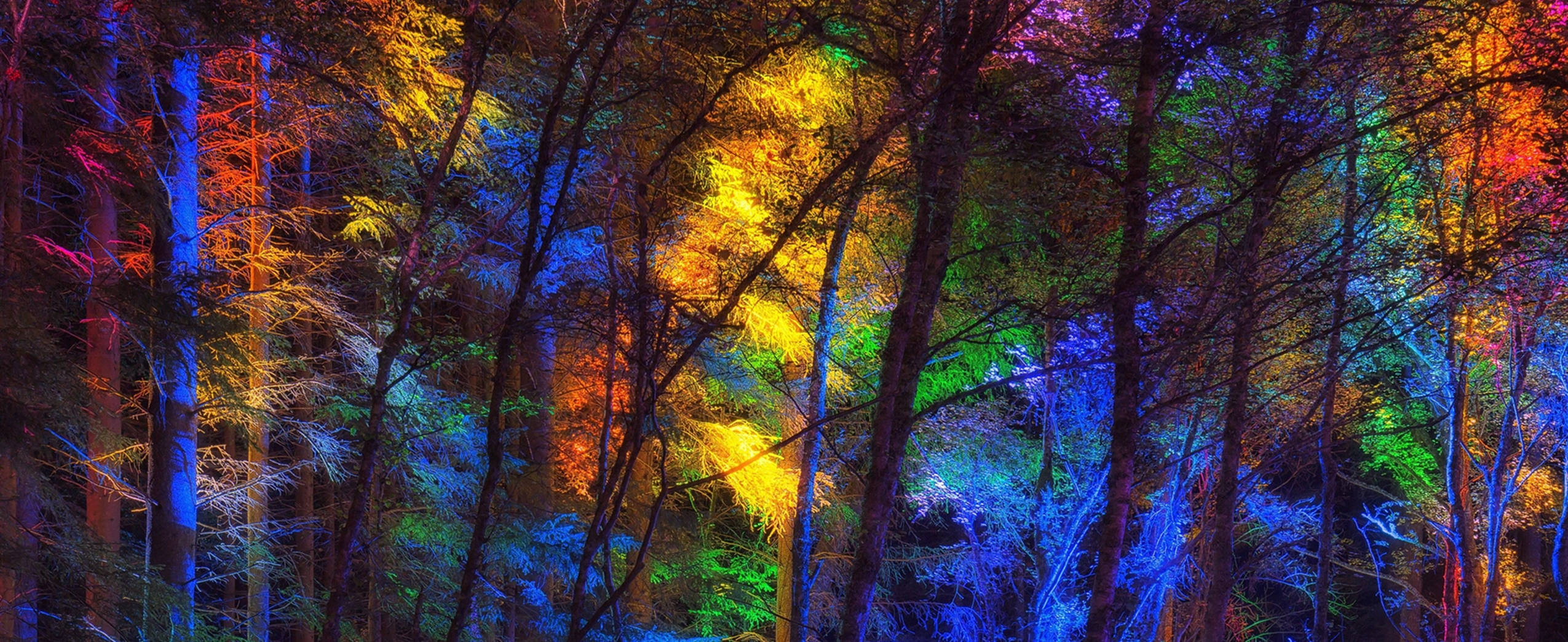 3840x1600 色彩繽紛的森林樹木 壁紙 — 夜晚的森林被充滿活力的霓虹燈照亮，在樹木和樹枝上投射出彩虹色調。