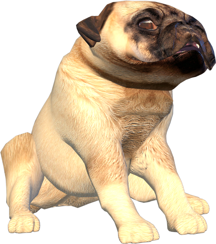 八哥犬3D模型 壁紙