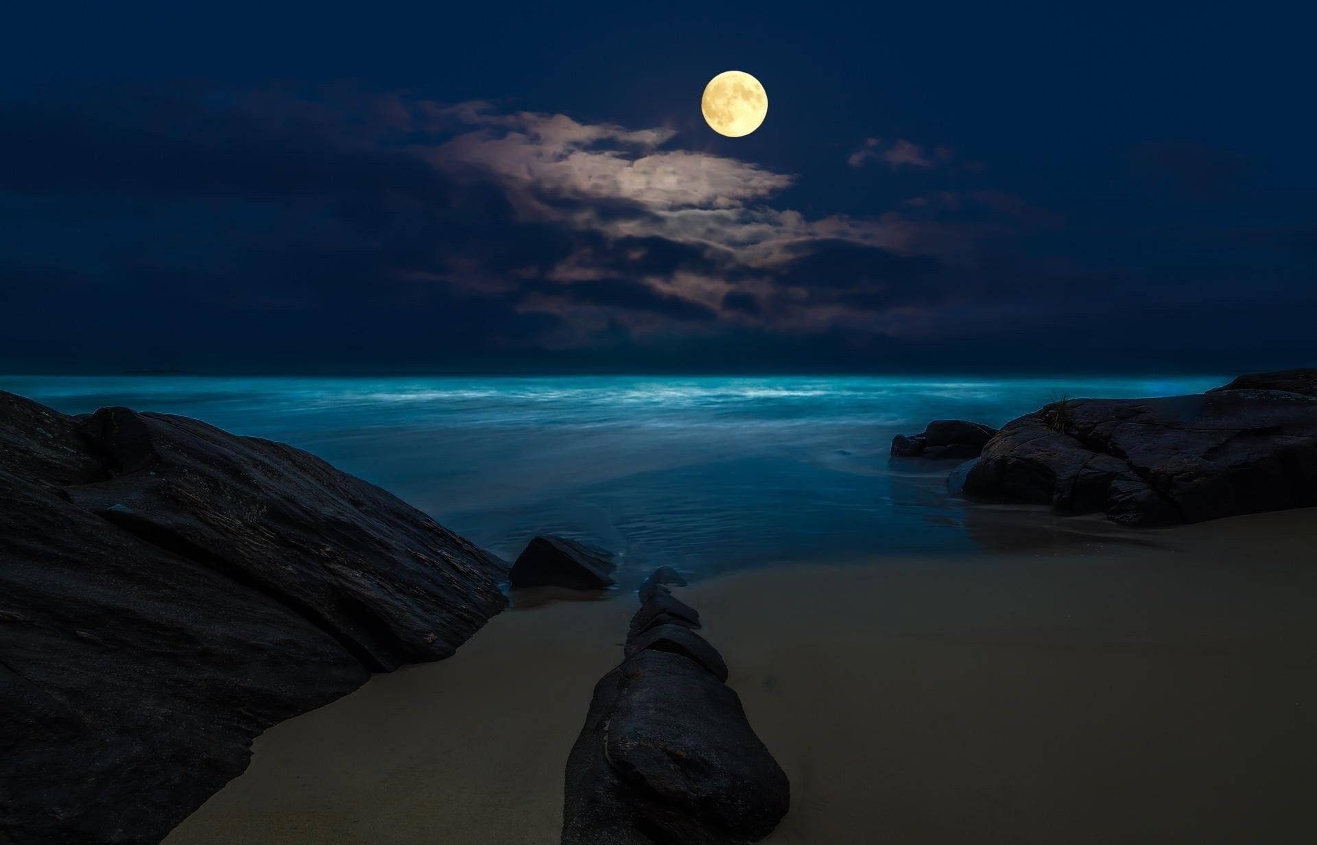 3D動畫海灘夜景 壁紙 — 一輪明亮的滿月在夜晚將寧靜的光芒灑在一個平靜的海灘上，有黑色的岩石和發光的碧綠海浪。