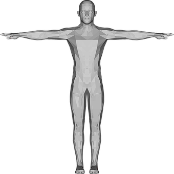 維特魯威人3D模型 壁紙