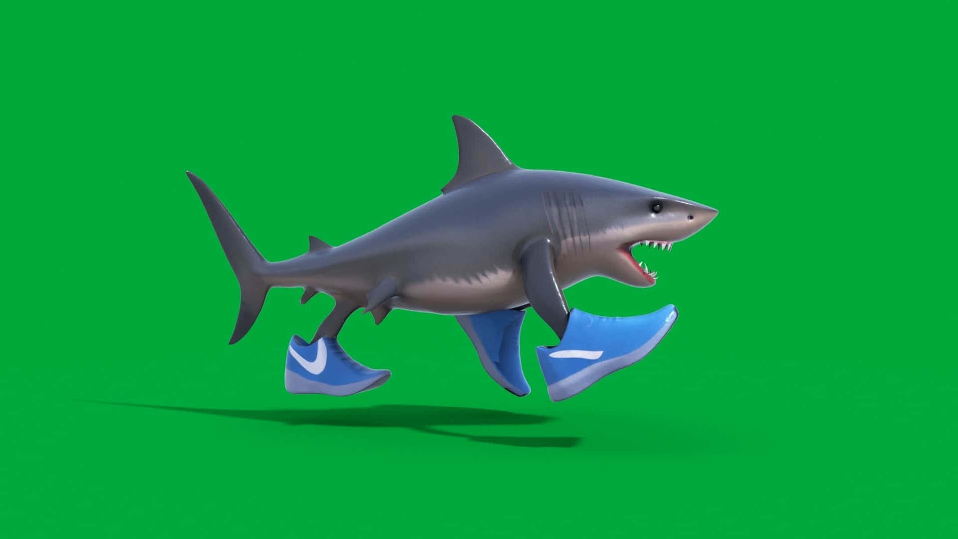  壁紙 — 一隻3D渲染的鯊魚穿著藍色運動鞋在純綠色屏幕背景上奔跑。
