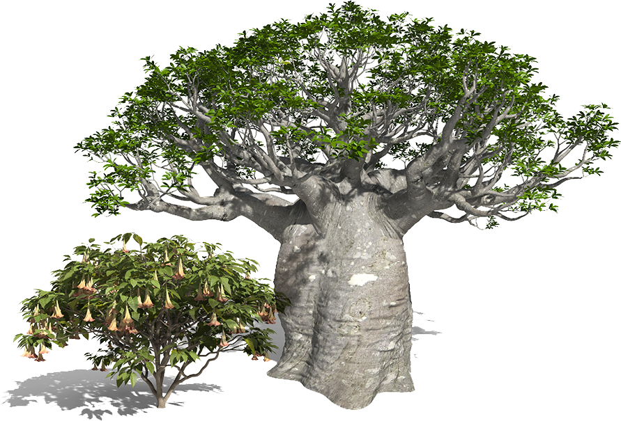 雄偉樹木3D渲染 壁紙 — 一棵雄偉的猴麵包樹，樹幹粗壯多節，樹冠翠綠茂盛，旁邊有一棵較小的開花灌木，背景是純白色。