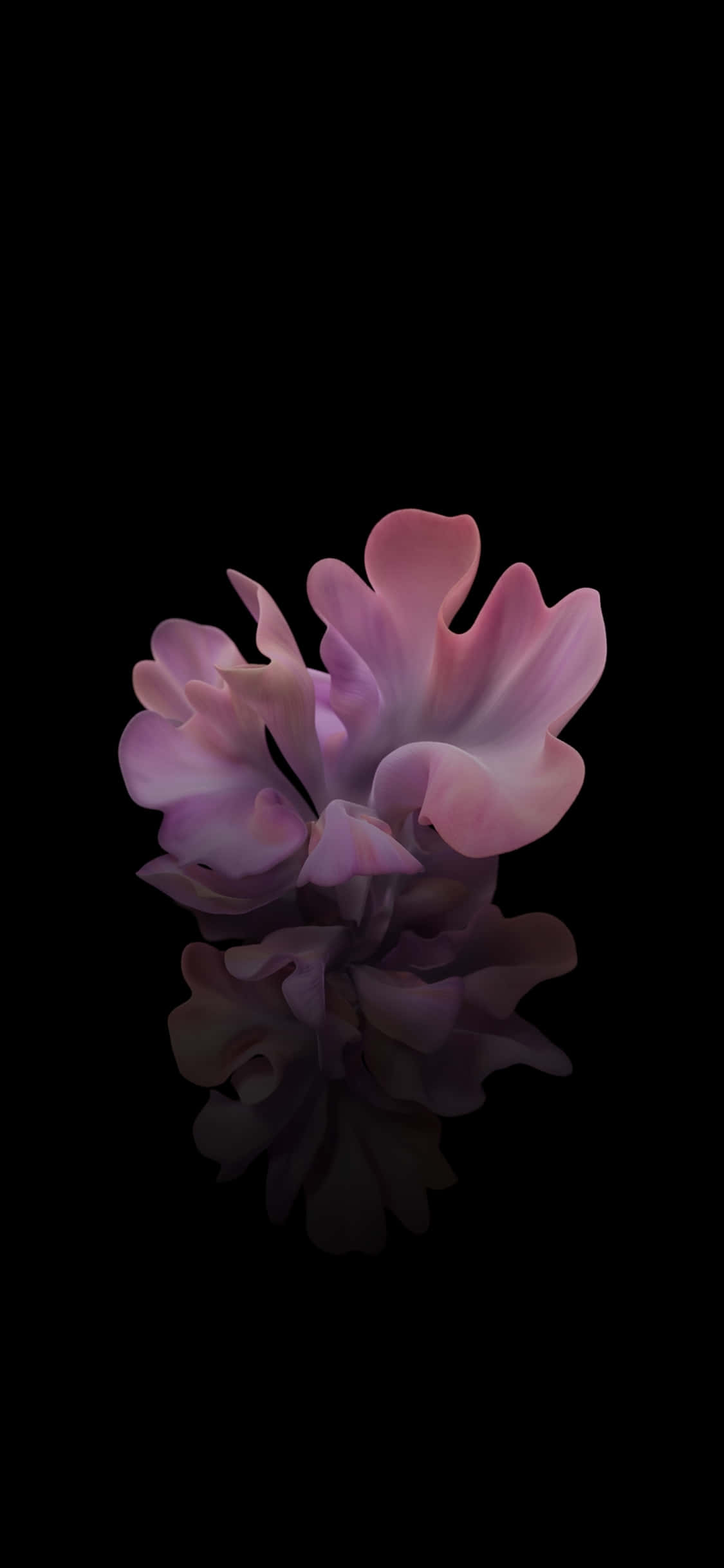 3D 黑色與粉紅花朵 壁紙