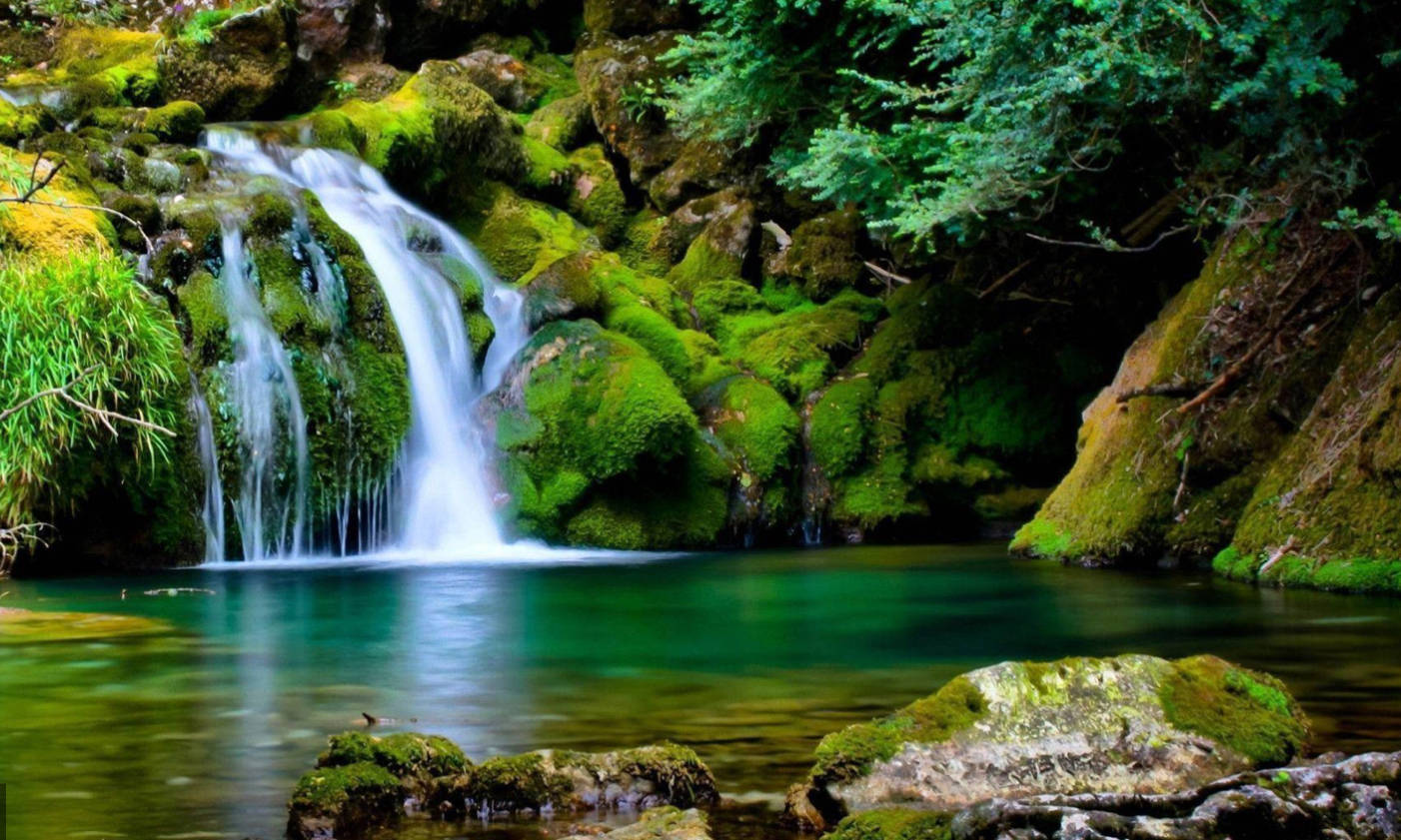 一條小瀑布流入一個清澈的綠色水潭，四周環繞著長滿苔蘚的岩石和樹木。