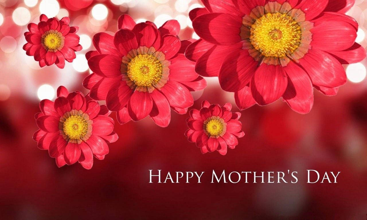 紅色雛菊帶有黃色中心，以及「Happy Mother's Day」文字在發光背景上。