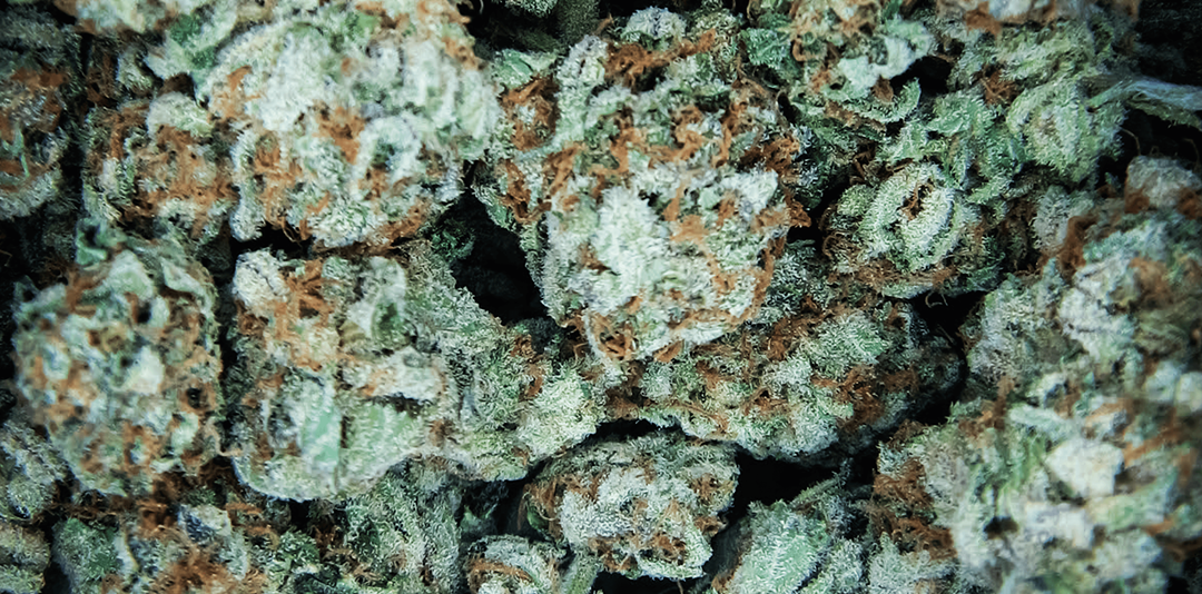 標題：繽紛420慶祝背景 壁紙