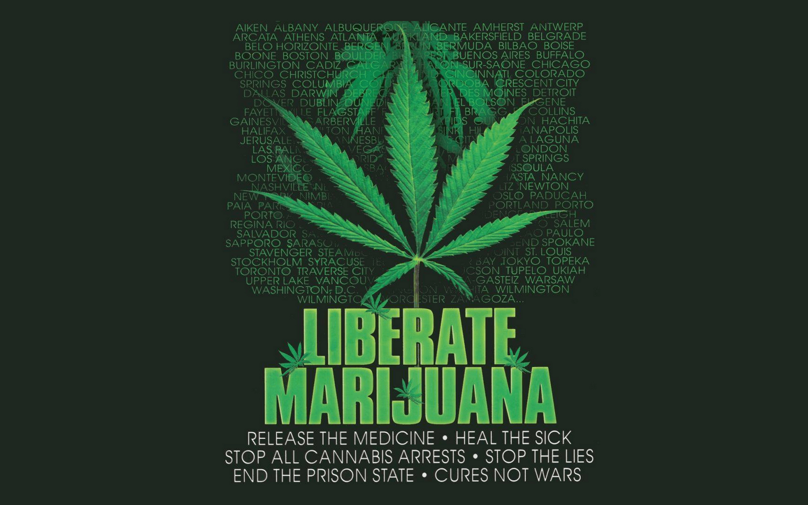 寧靜時刻：受420文化啟發的春日林間空地靜謐景致 壁紙