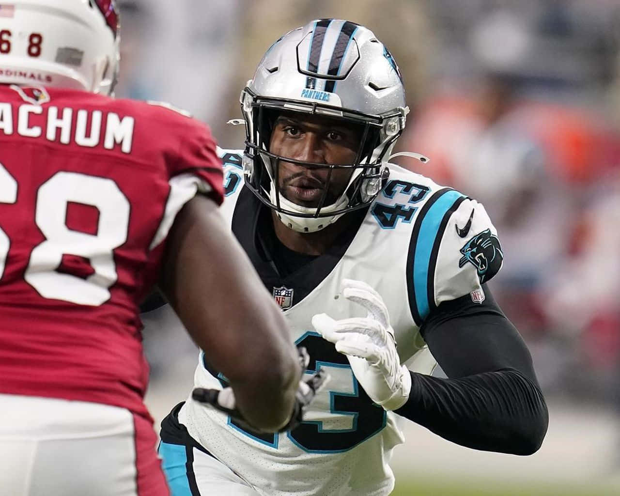 卡羅萊納黑豹隊線衛在NFL美式足球比賽中行動。