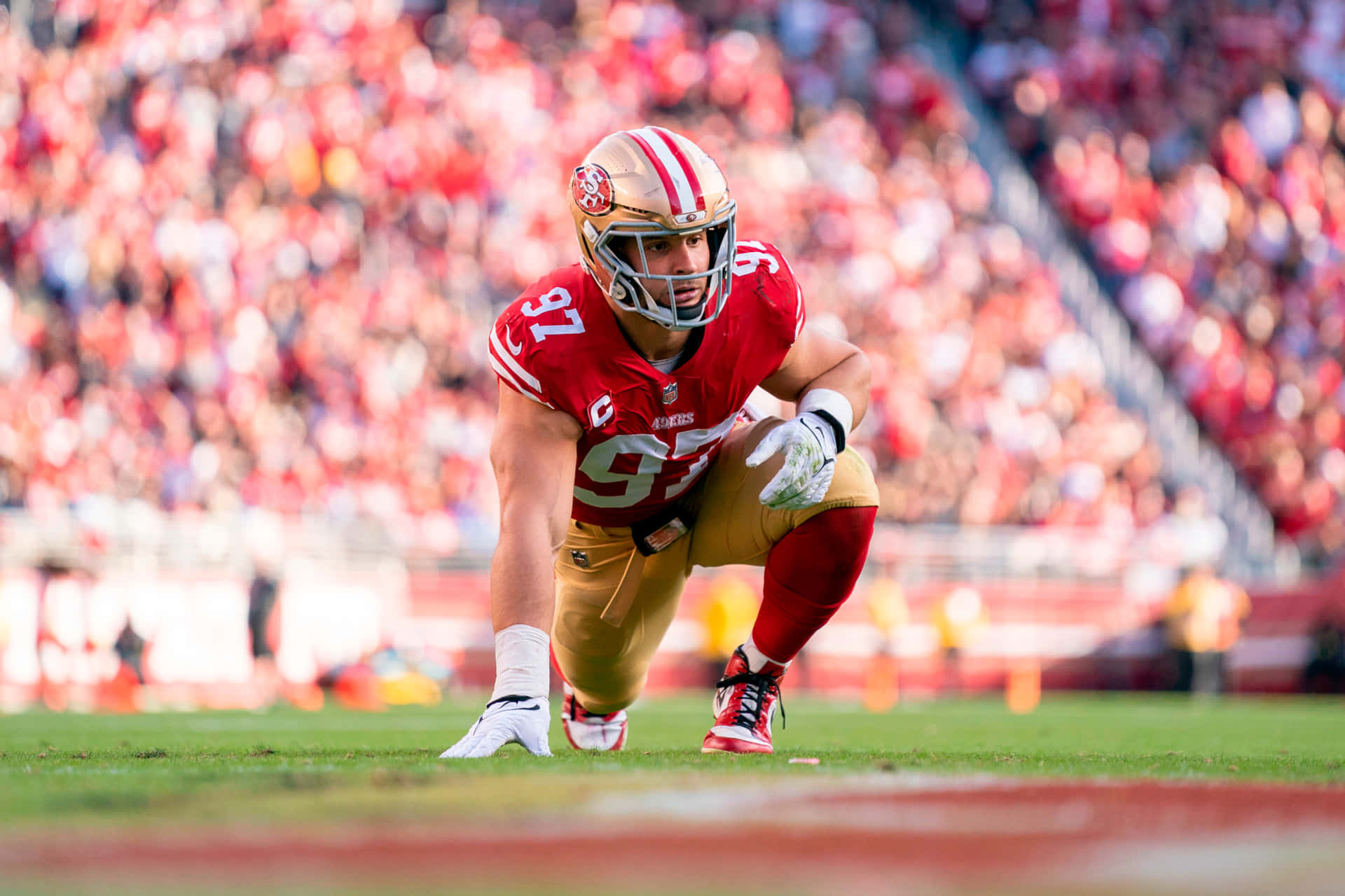49Ers 圖片