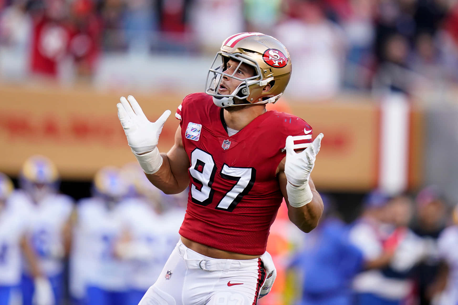 49Ers 圖片