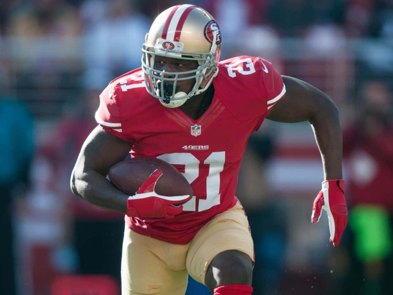 49Ers 圖片