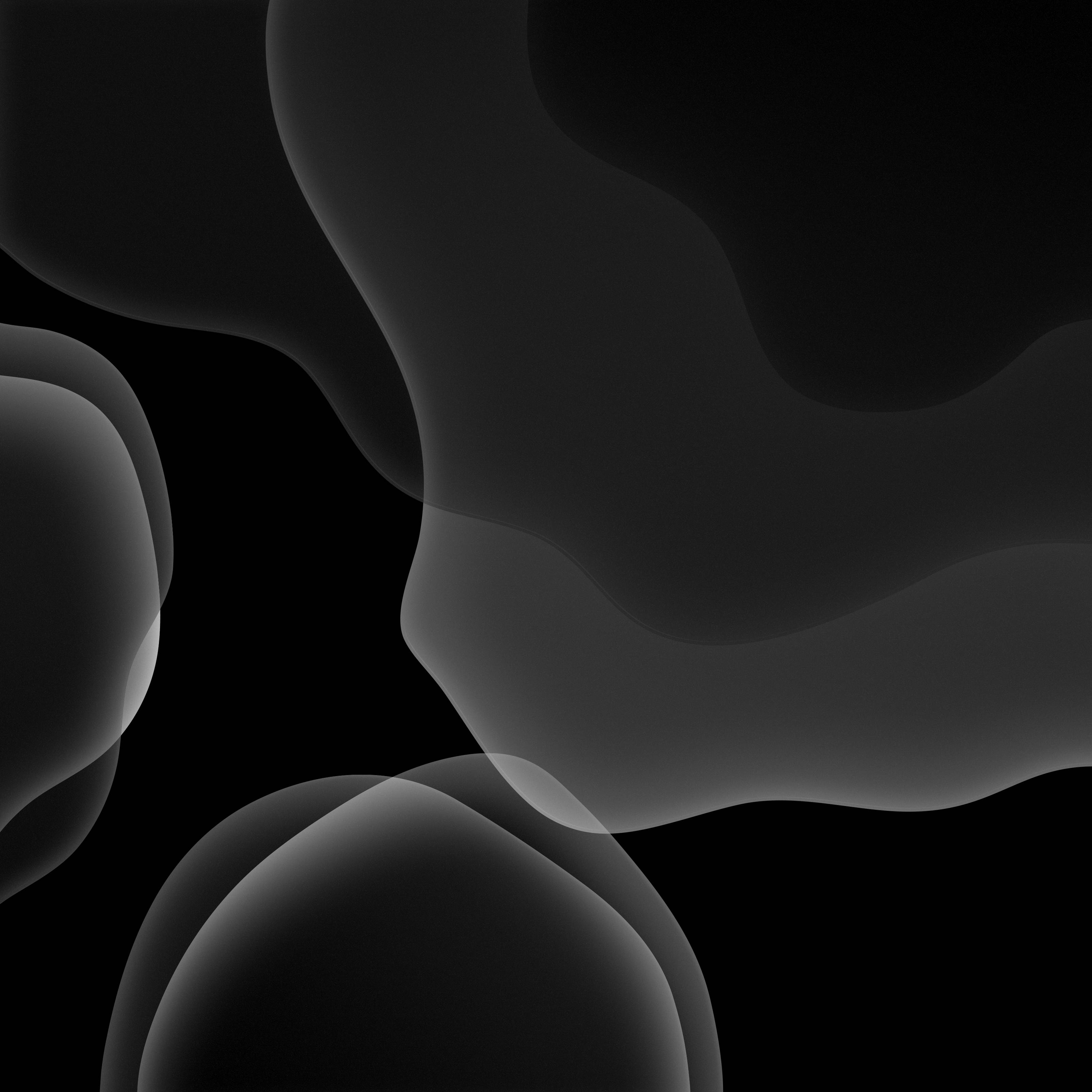 4D超高清灰階_blob 壁紙 — 平滑的灰階抽象形狀在深黑色背景上流動，營造出極簡現代美學。