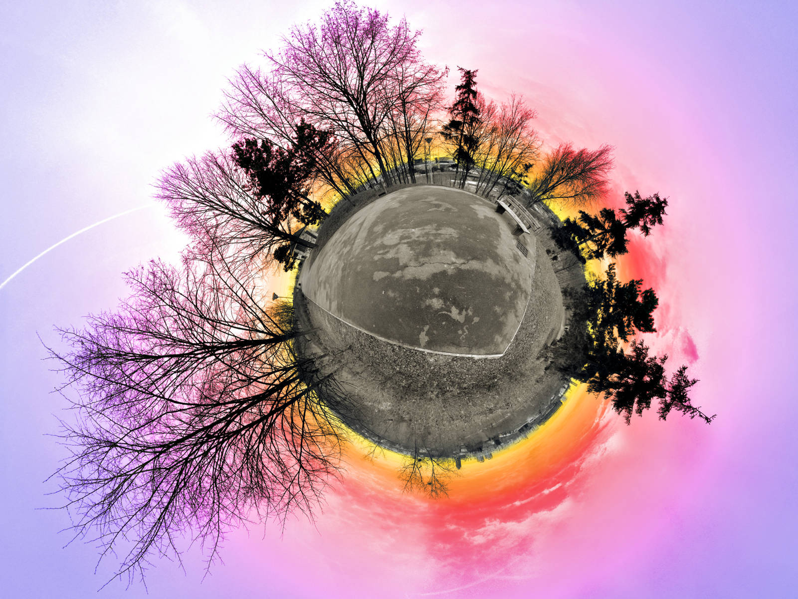 4K 自然粉紅天空 壁紙 — 一個公園在日落時分的360度球形全景，有光禿禿的樹木和充滿活力的紫橙色天空。