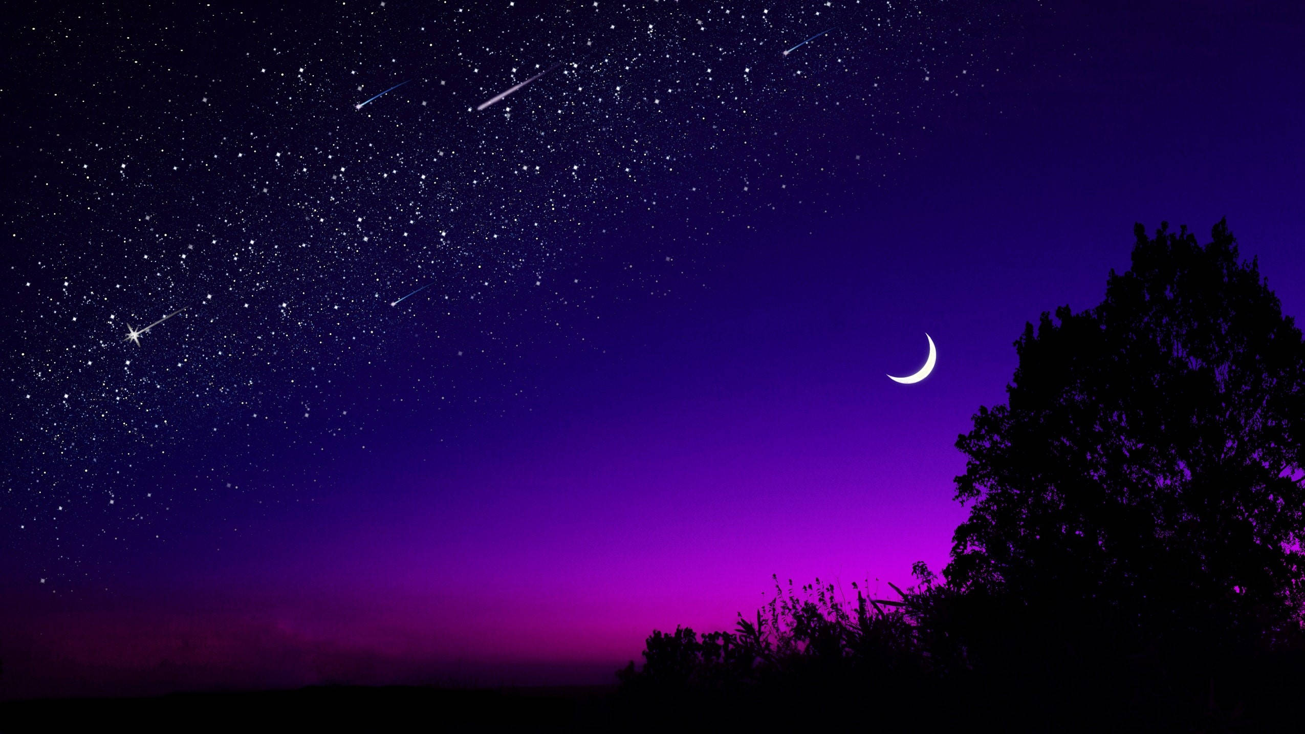 夜空月亮與繁星 4K 平面 壁紙 — 一個充滿星星和流星的充滿活力的紫色夜空，上方有一棵帶有新月輪廓的樹。