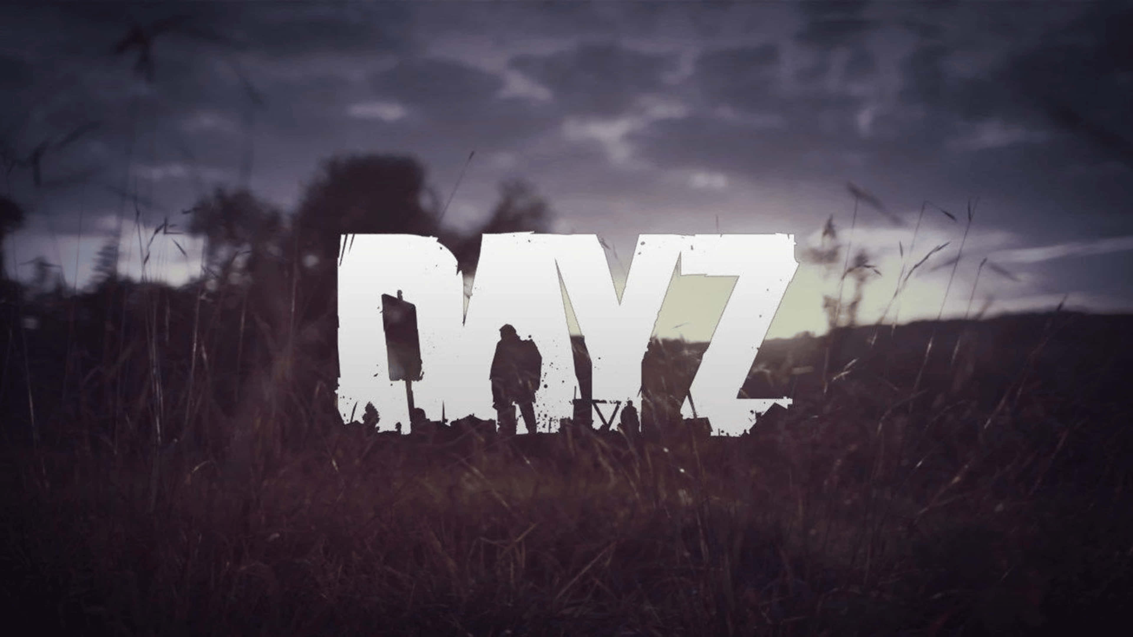 4K DayZ Epoch Mod 背景：暗黑風格海報 壁紙 — 一個孤獨的倖存者站在高高的草叢中，頭頂是風暴肆虐的天空，粗體白色字母「DAYZ」籠罩著他們。