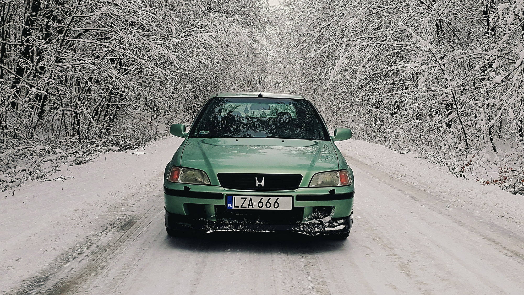 綠色 4K Honda Civic 雪地停泊 壁紙 — 一輛綠色本田思域在白雪覆蓋的森林道路上行駛，兩旁是掛滿雪的樹木。