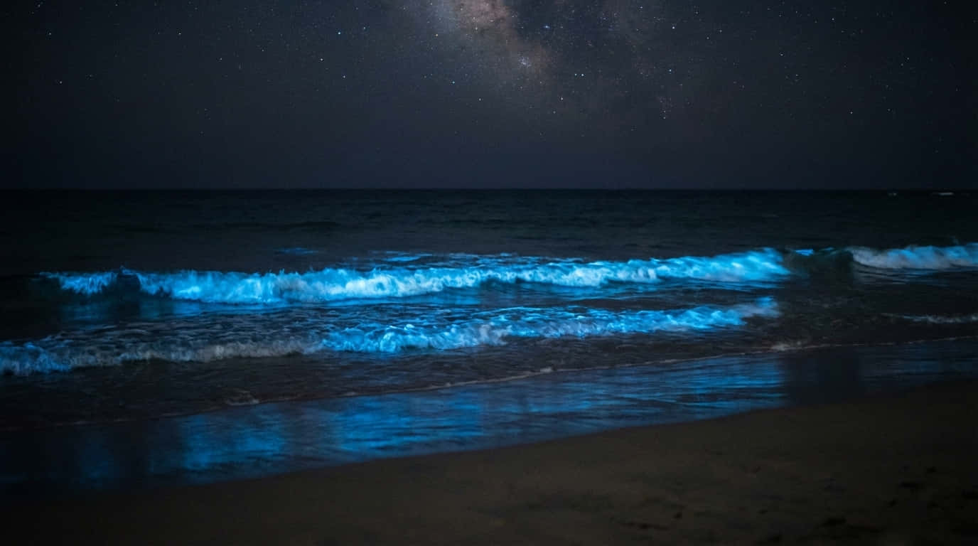 夜間發光海景- 4K壁紙 壁紙 — 發光的藍色波浪在黑暗的沙灘上破碎，夜空繁星點點，銀河清晰可見。