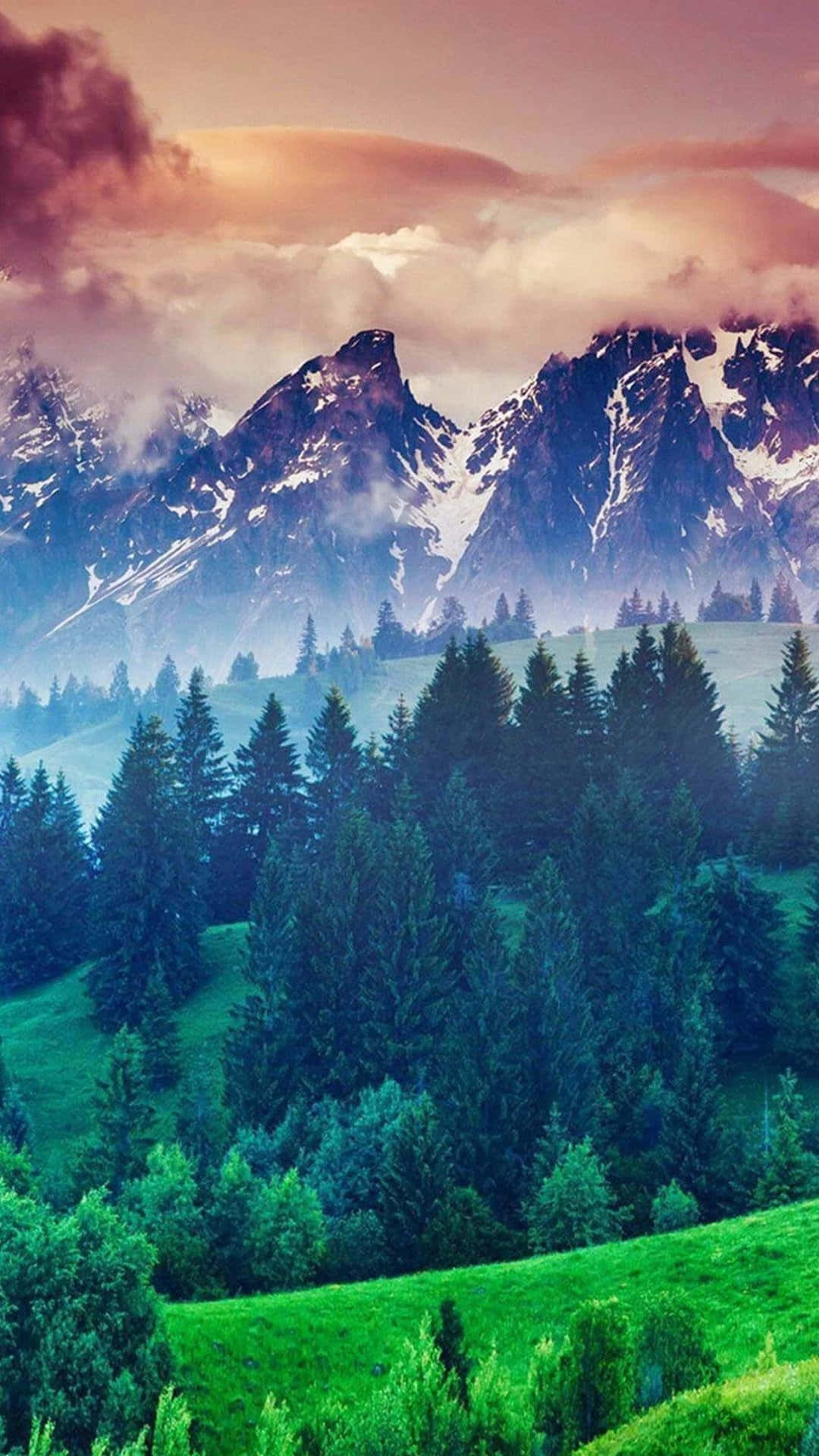 積雪的山峰在黃昏時分聳立在松林和起伏的綠色山丘之上。