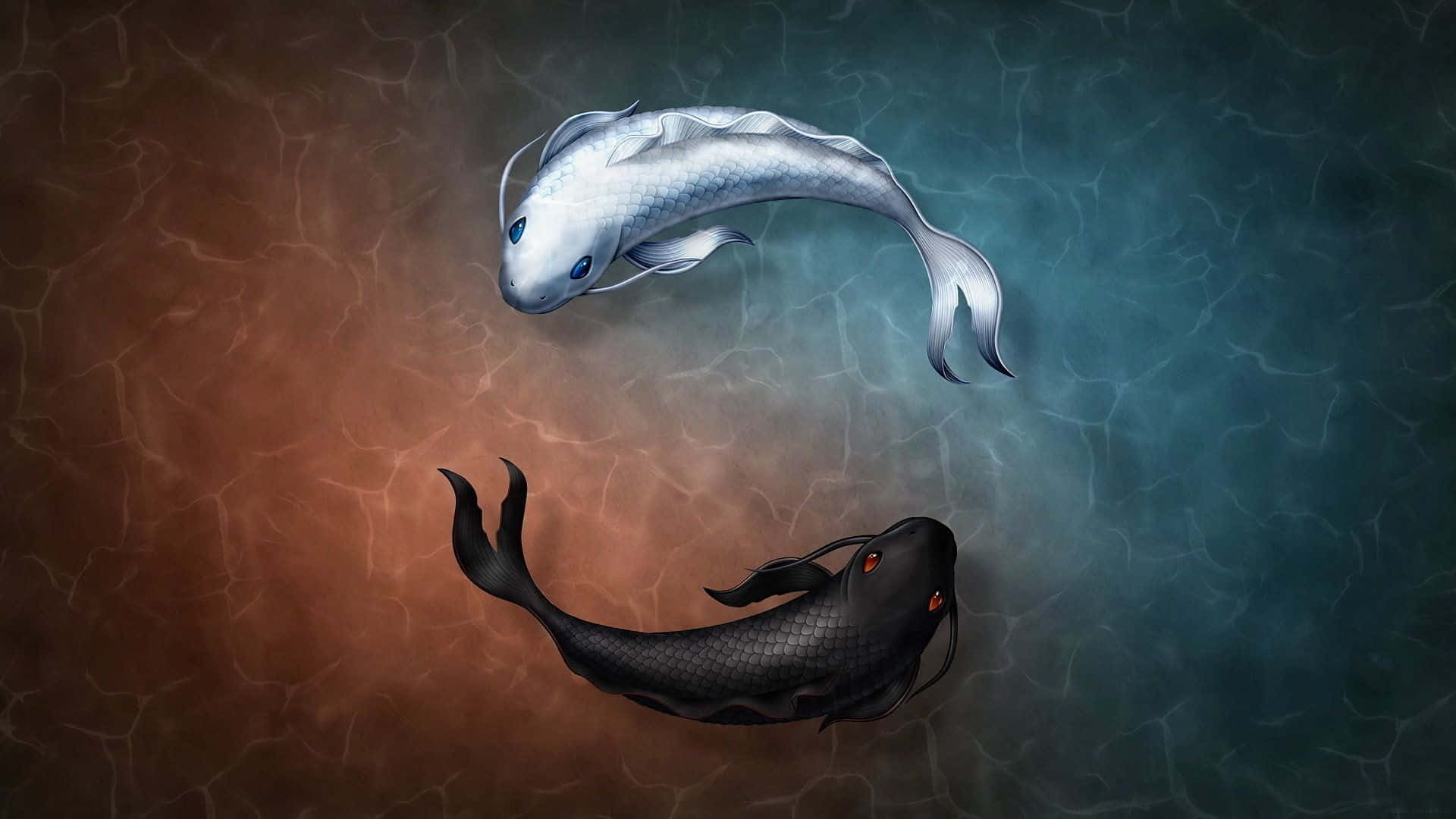 黑白鯰魚陰陽符號 4K 壁紙 — 兩條風格化的錦鯉，一條銀色一條黑色，在龜裂的大地與水背景中朝相反方向游動。