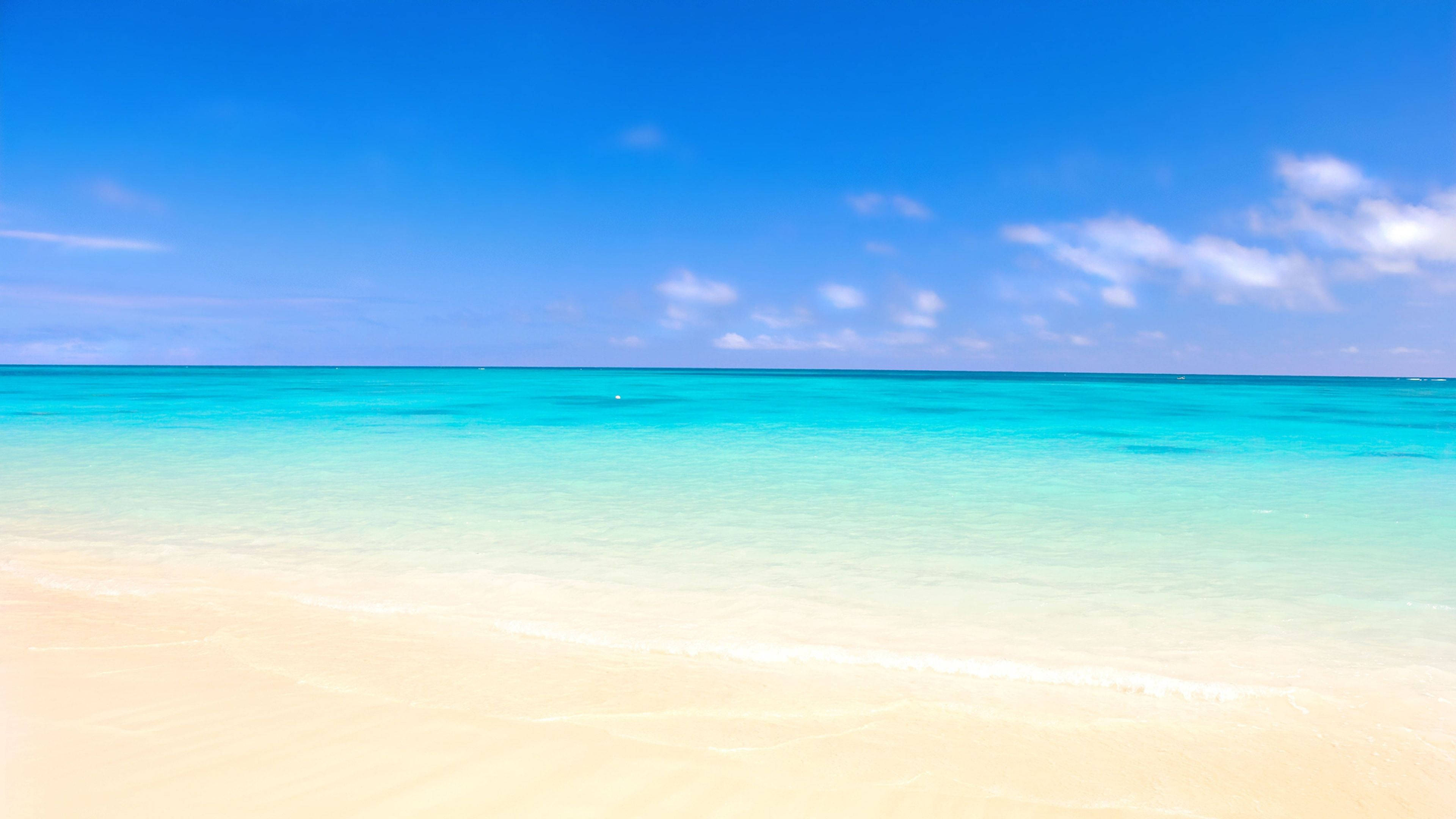 4K 海灘海水 壁紙 — 一個寧靜的熱帶海灘，碧綠的海水輕輕拍打柔軟的白沙，頭頂是清澈的藍天。