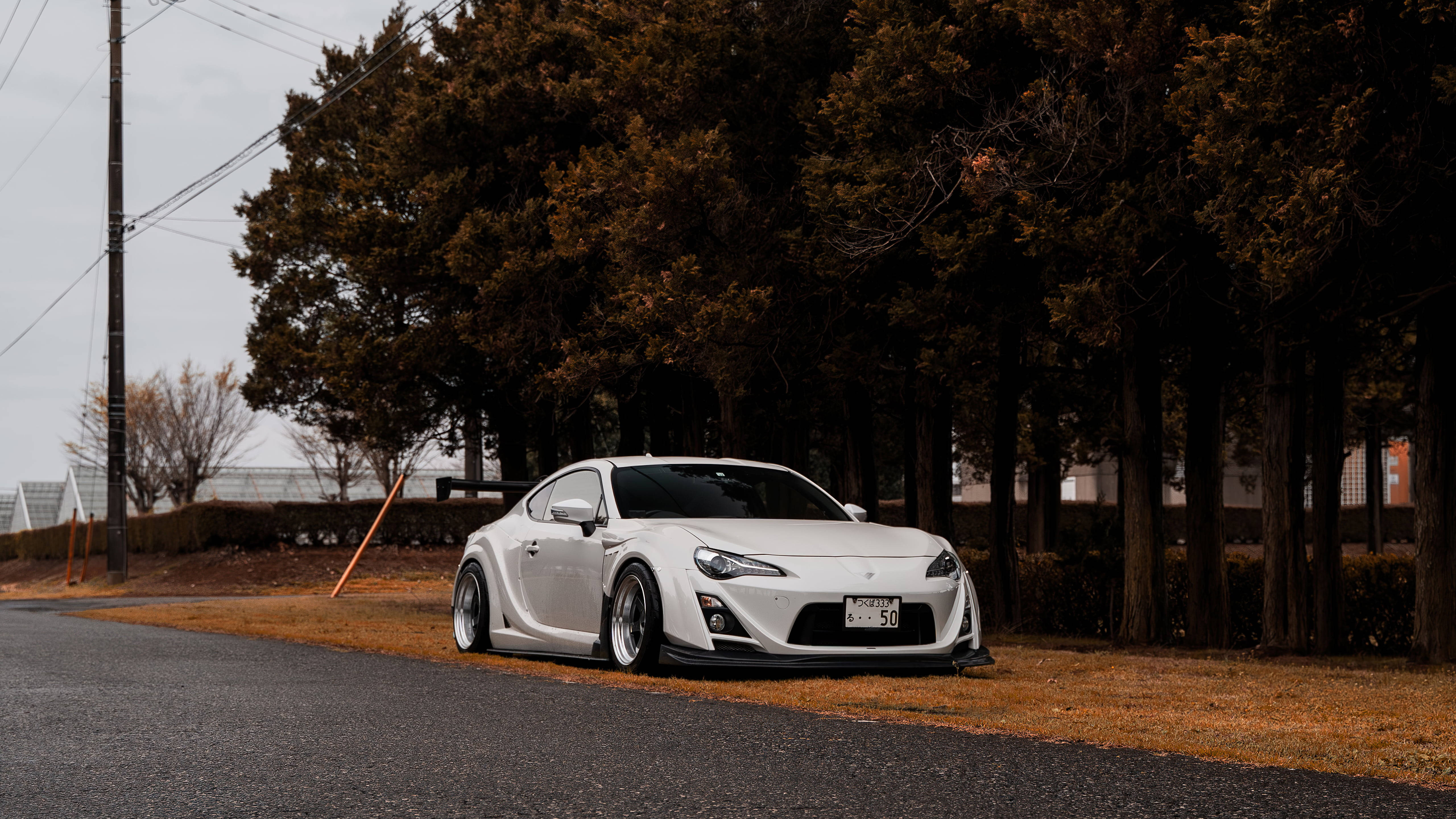 4K Supra 藏於樹蔭之下 壁紙 — 一架時尚的白色跑車停泊在瀝青路上，旁邊是秋天樹木，樹葉呈棕色，天空多雲。
