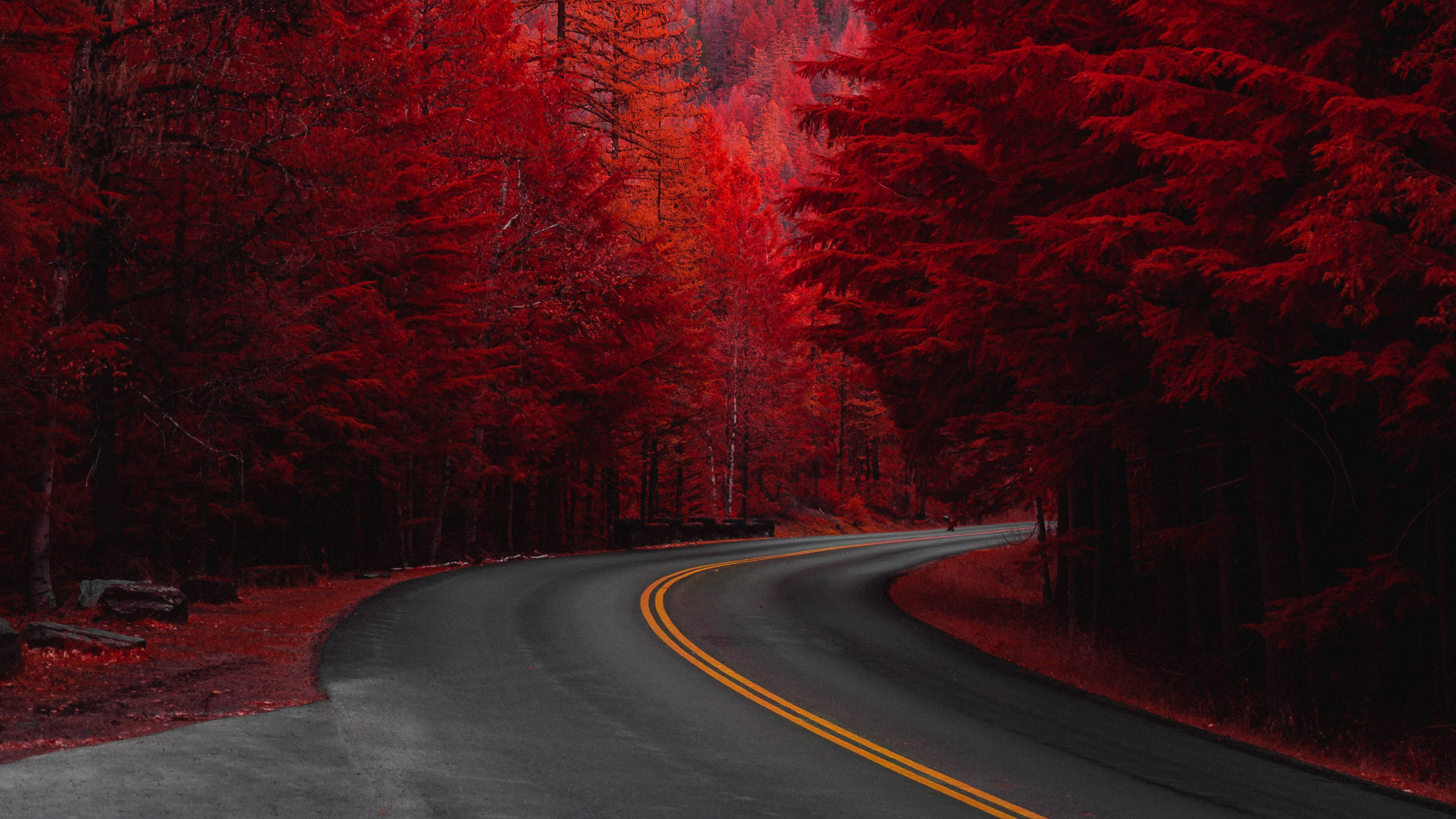 紅色松樹道路 4K UHD 壁紙 — 一條蜿蜒的瀝青路在昏暗的天空下穿過沐浴在強烈紅色調中的森林。