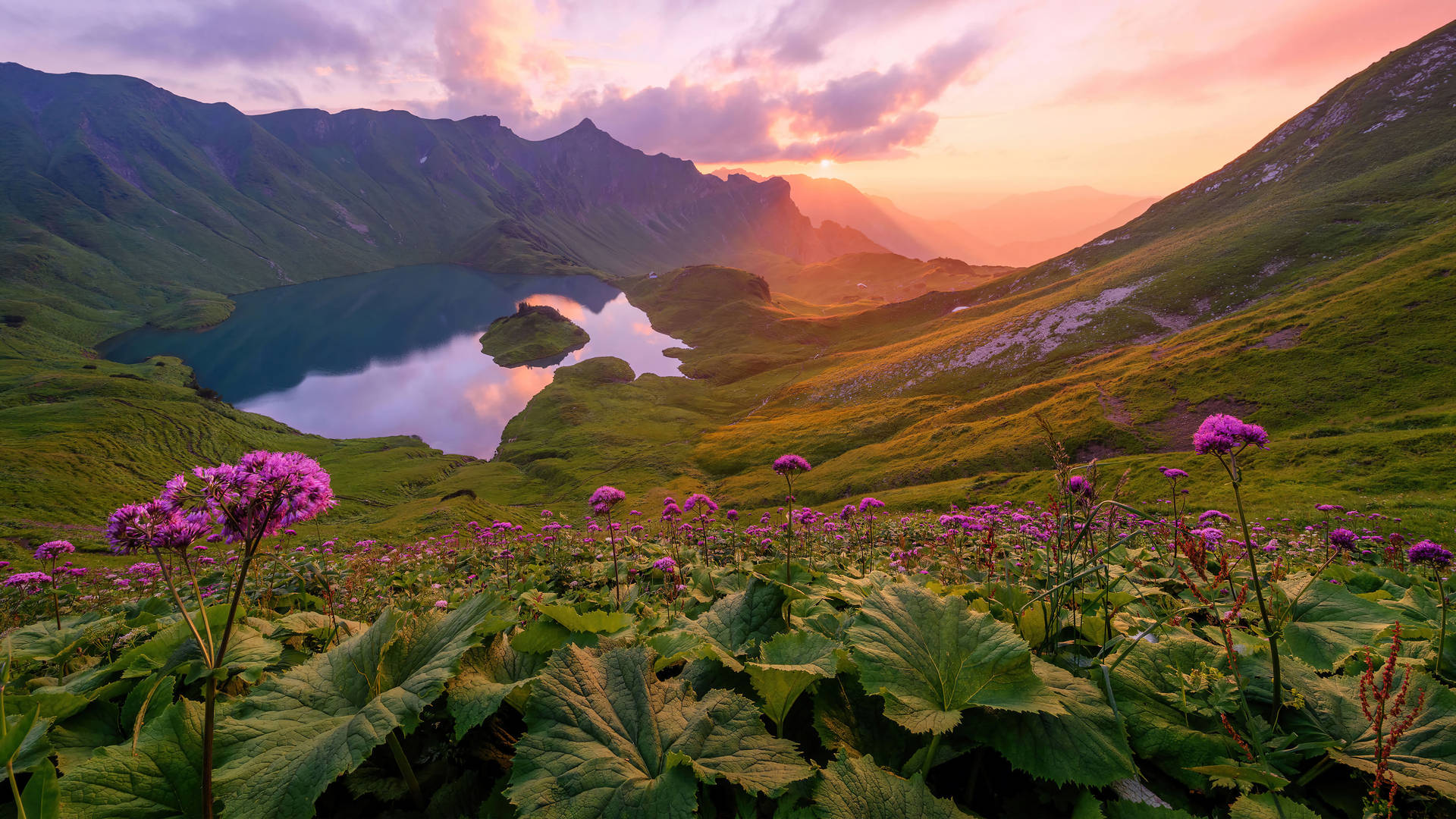 日落時分的山間湖泊，前景有紫色野花