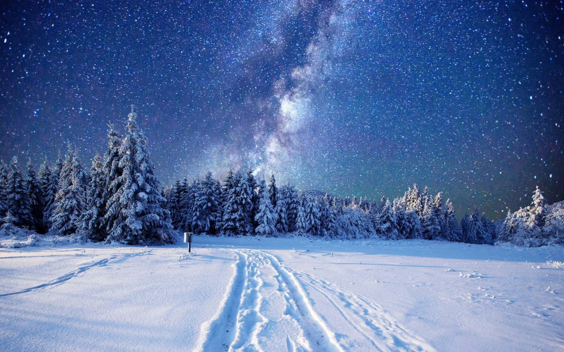 積雪覆蓋的森林小徑，上方是星空，銀河清晰可見。