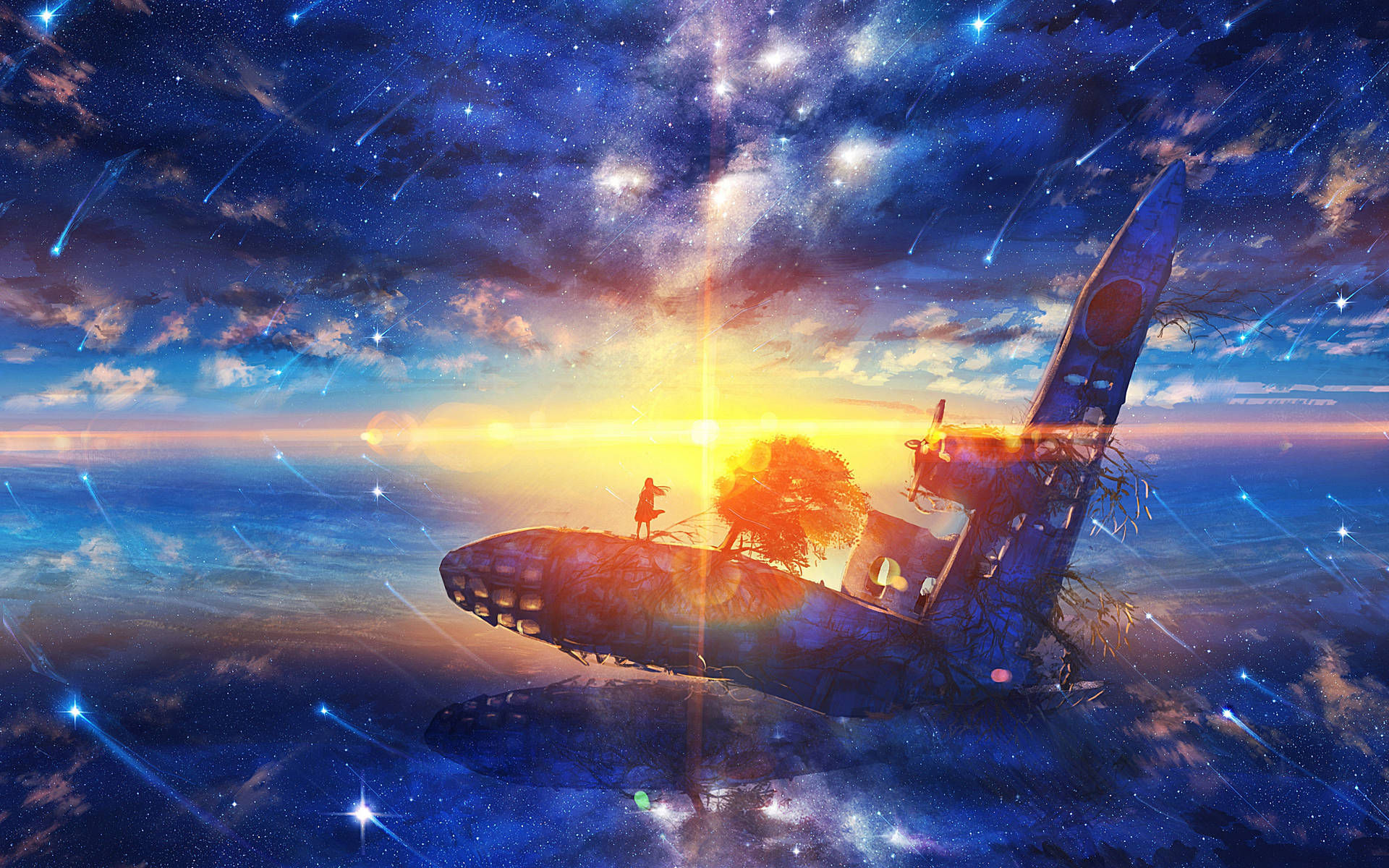 一個人在日落時分的星空下站在失事飛機上