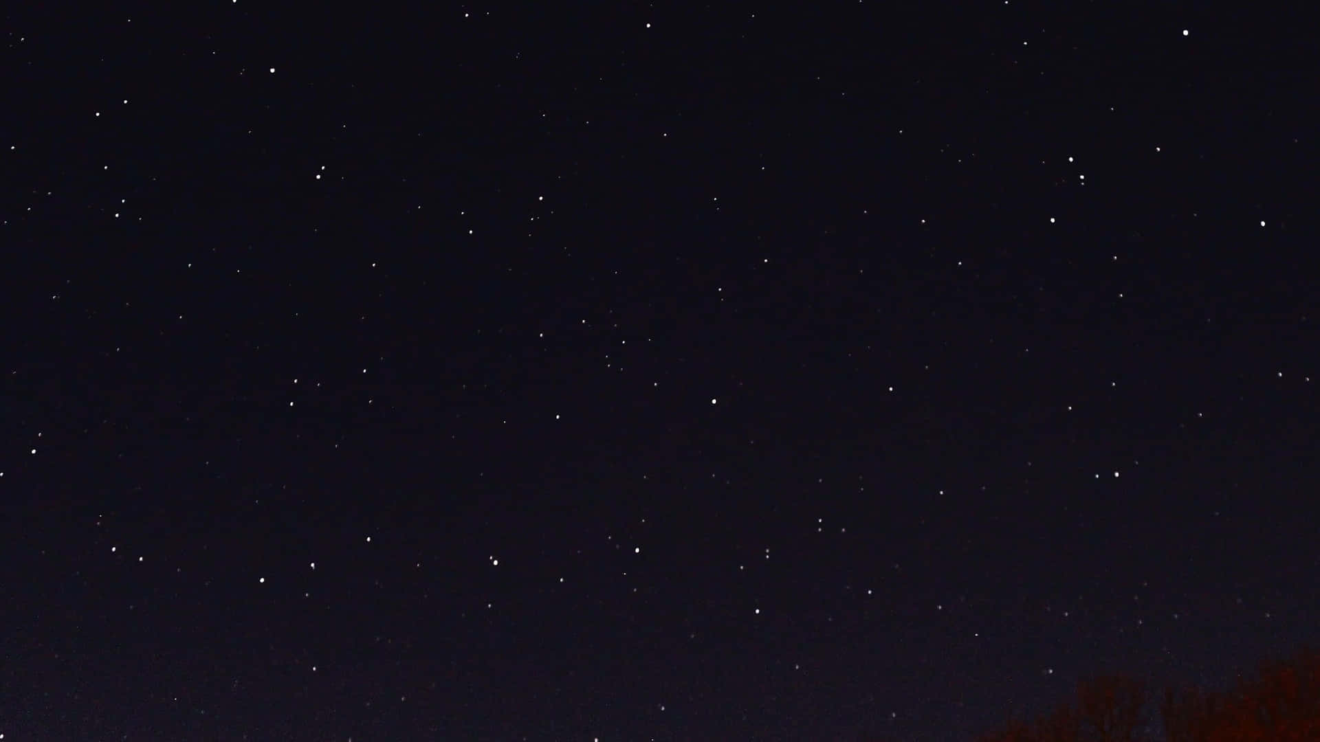 底部有樹木剪影的繁星點點夜空。