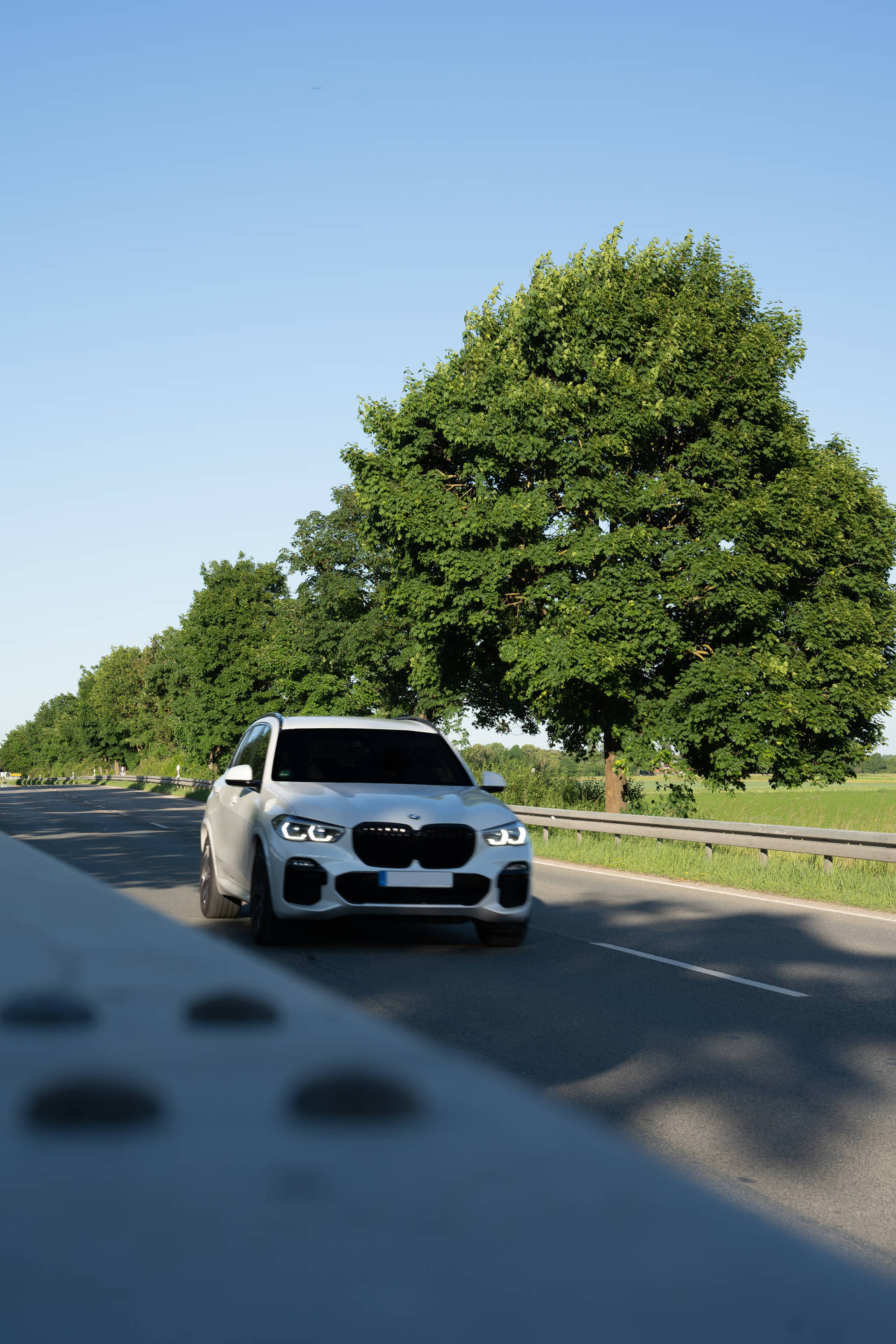 白色BMW SUV在陽光明媚的夏日行駛在綠樹成蔭的高速公路上。 — 4K BMW 壁紙 壁紙