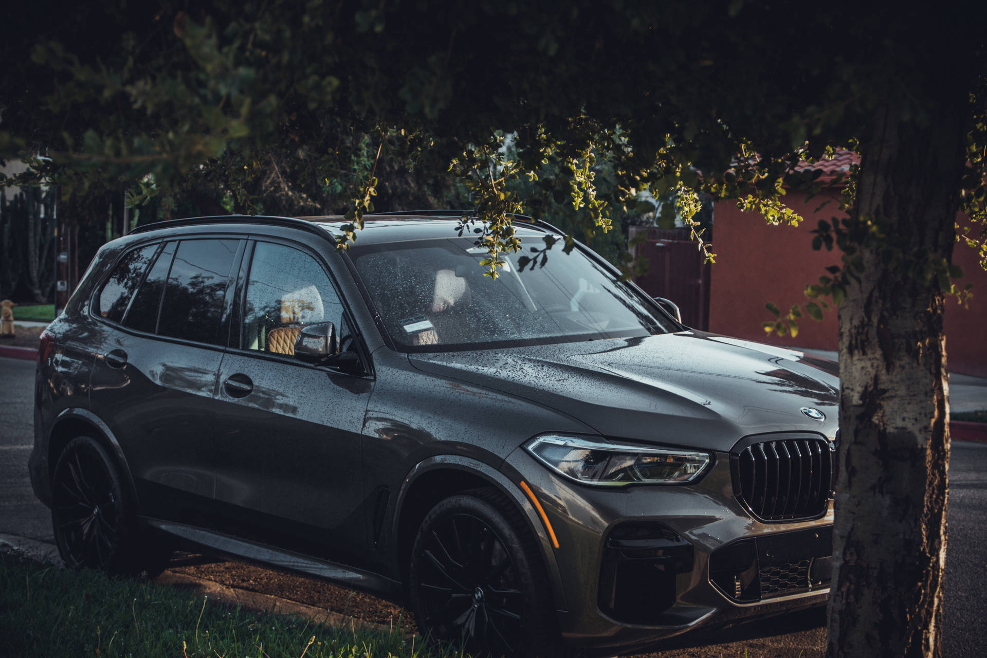 啞光灰色BMW X5 SUV在黃昏時停泊在樹下，陽光透過樹葉灑落。 — 4K BMW 壁紙 壁紙