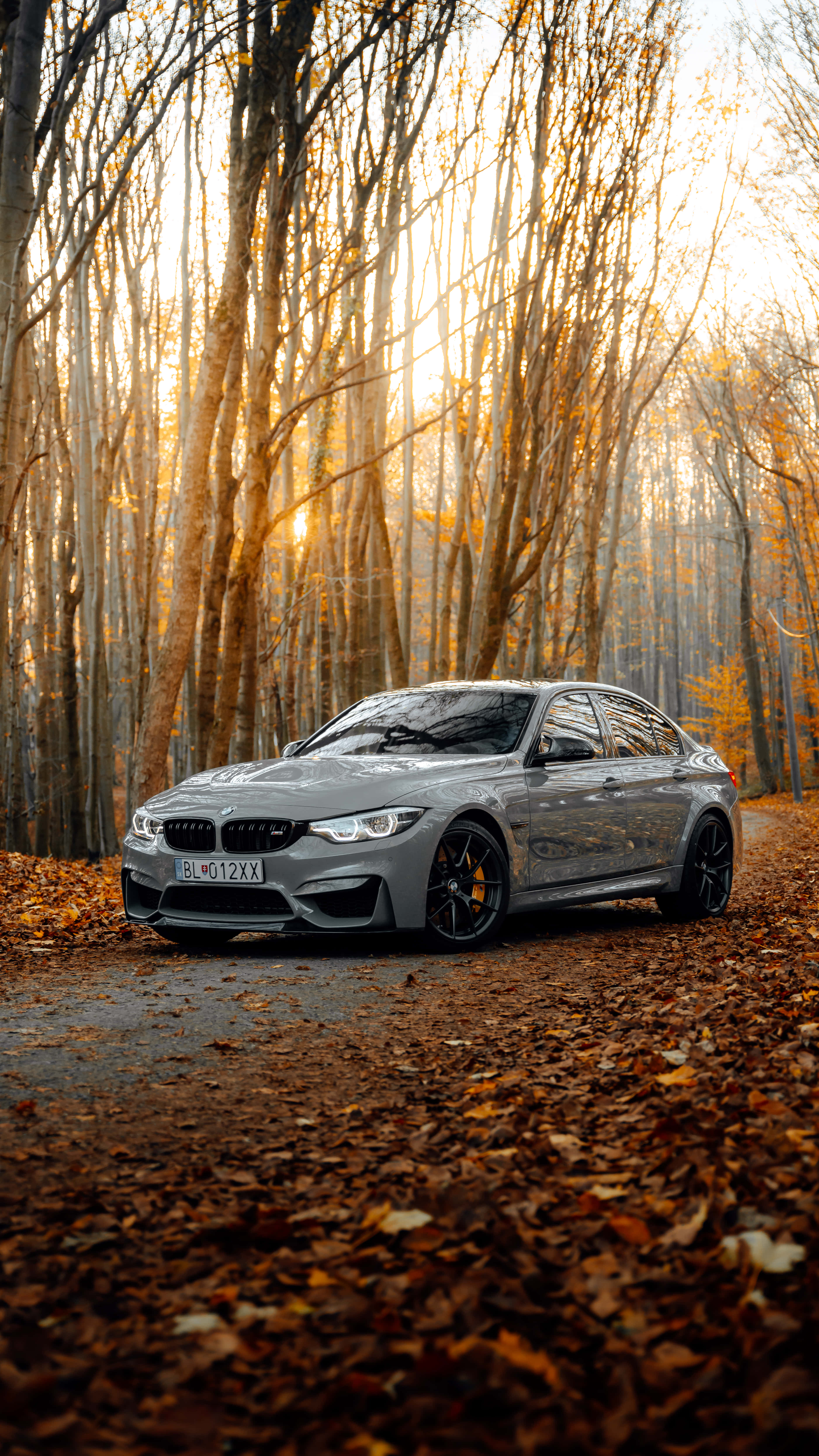 4K解析度的奢華BMW M8 壁紙 — 一輛時尚的銀色跑車停泊在落葉滿佈的森林道路上，沐浴在透過光禿樹木灑下的金色秋日陽光中。
