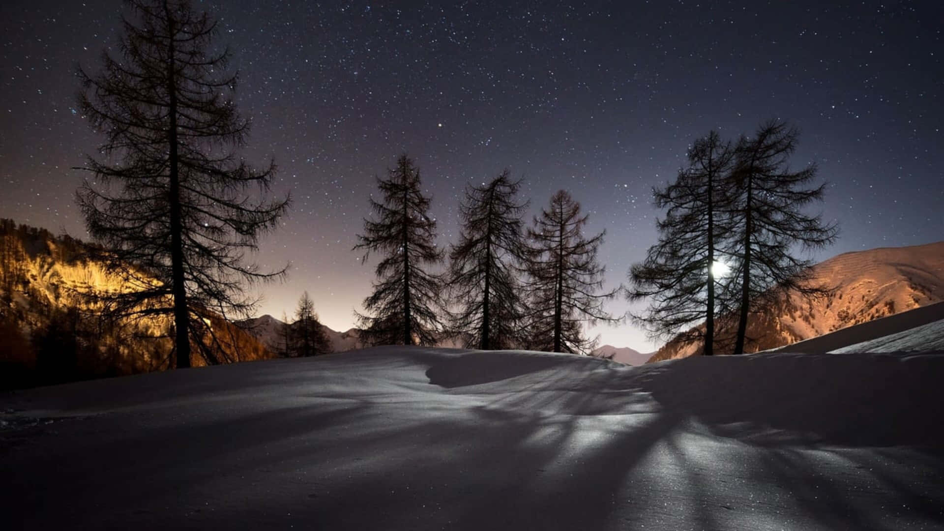 夜晚積雪的山脊，松樹和星空。