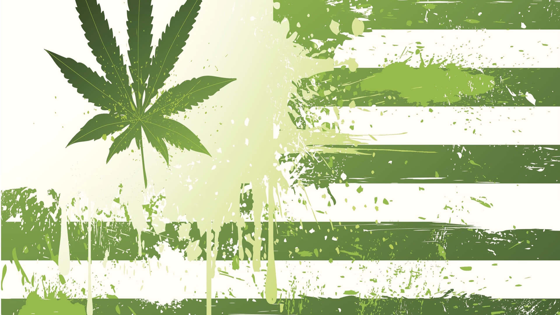 綠色大麻葉在帶有油漆飛濺的骯髒條紋背景上。